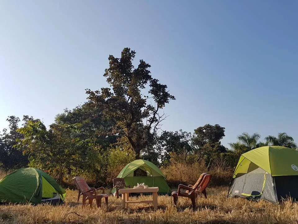 Natural landscape in Tribal Wood Resort