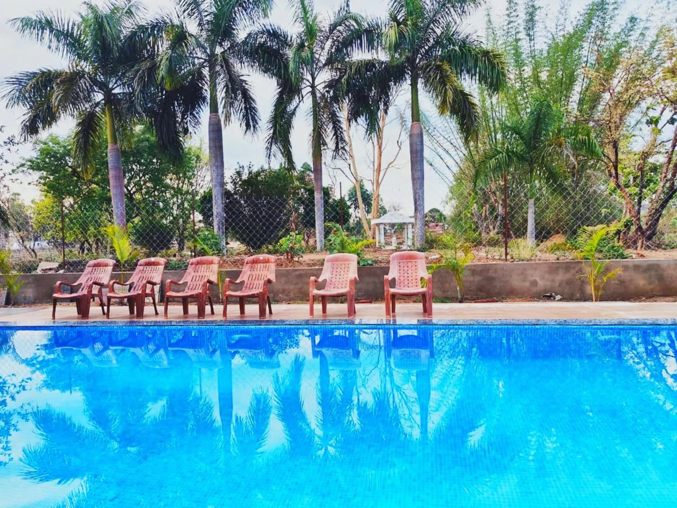 Swimming pool in Tribal Wood Resort