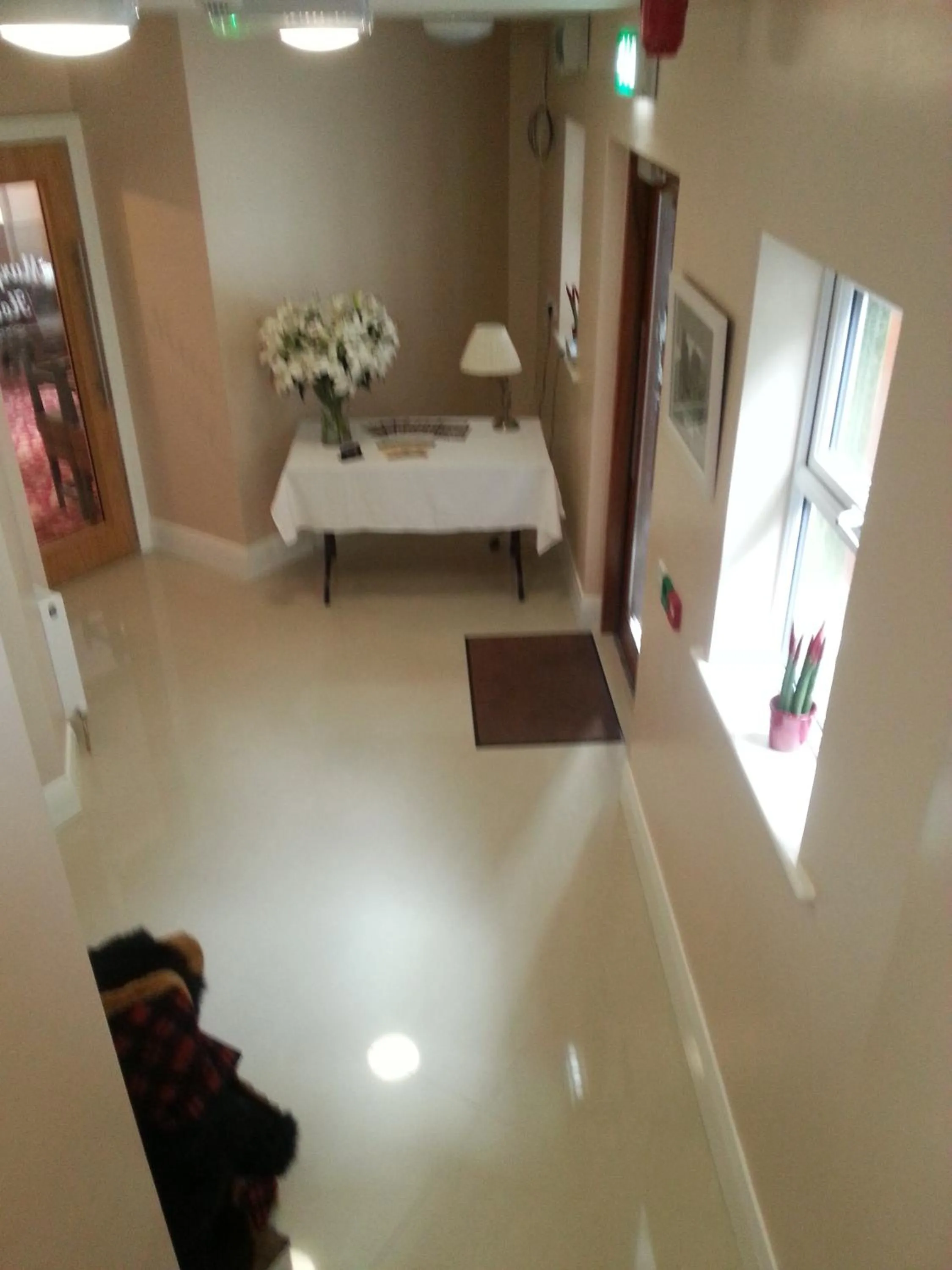 Decorative detail in Murphys Hotel