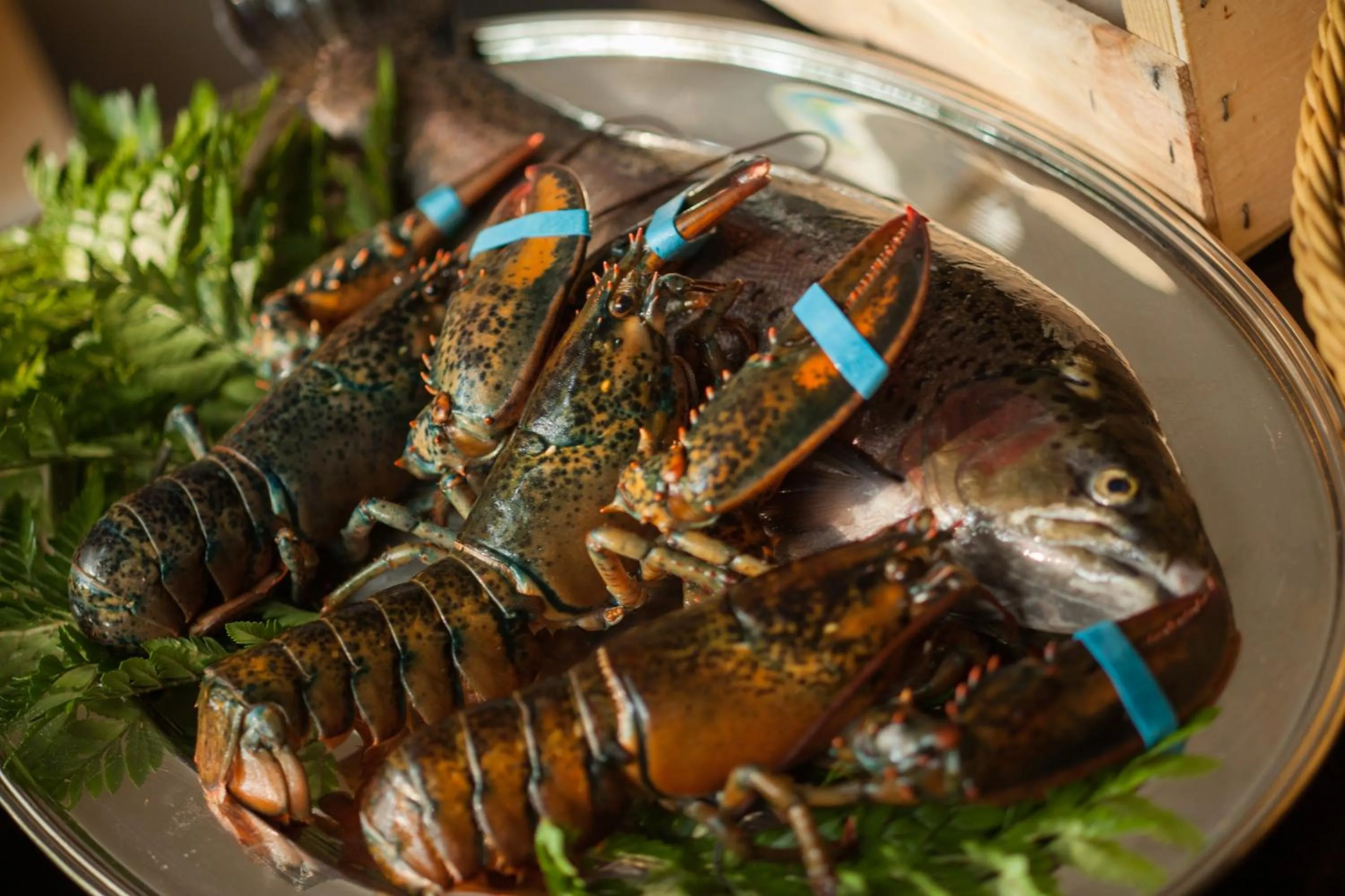 Dinner in Restaurant & Hotel Traumerei