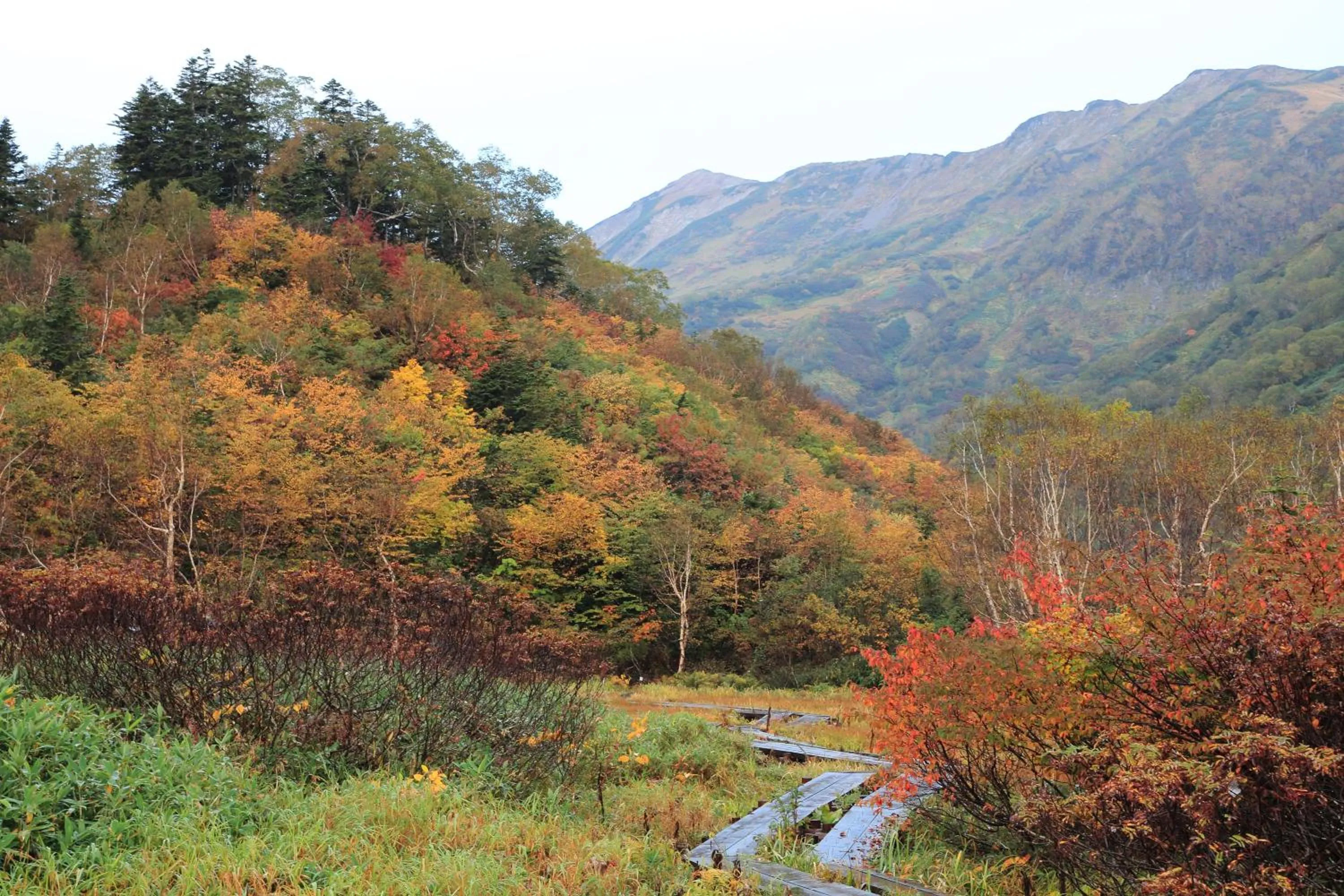 Other in Restaurant & Hotel Traumerei