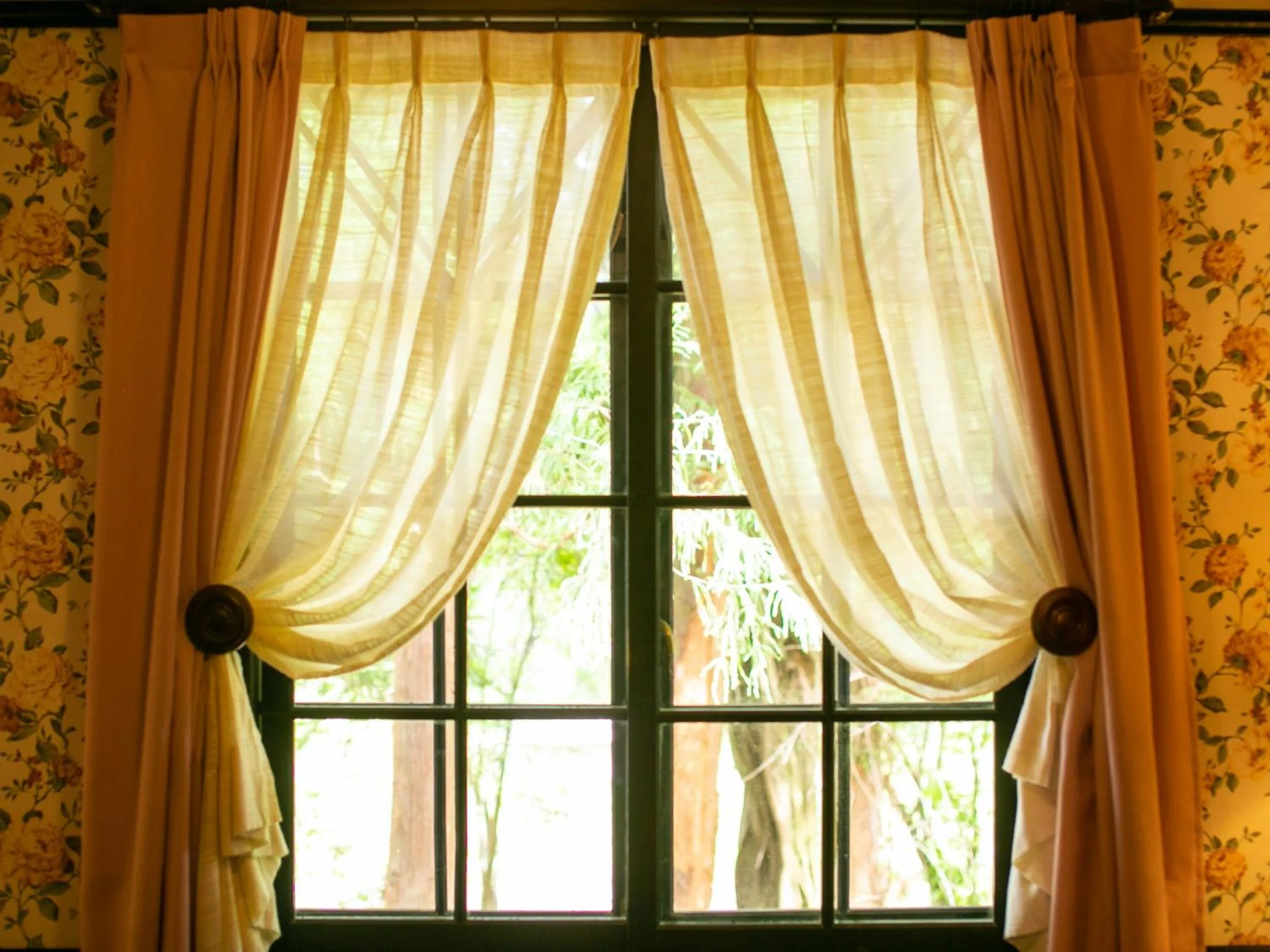 Photo of the whole room in Restaurant & Hotel Traumerei