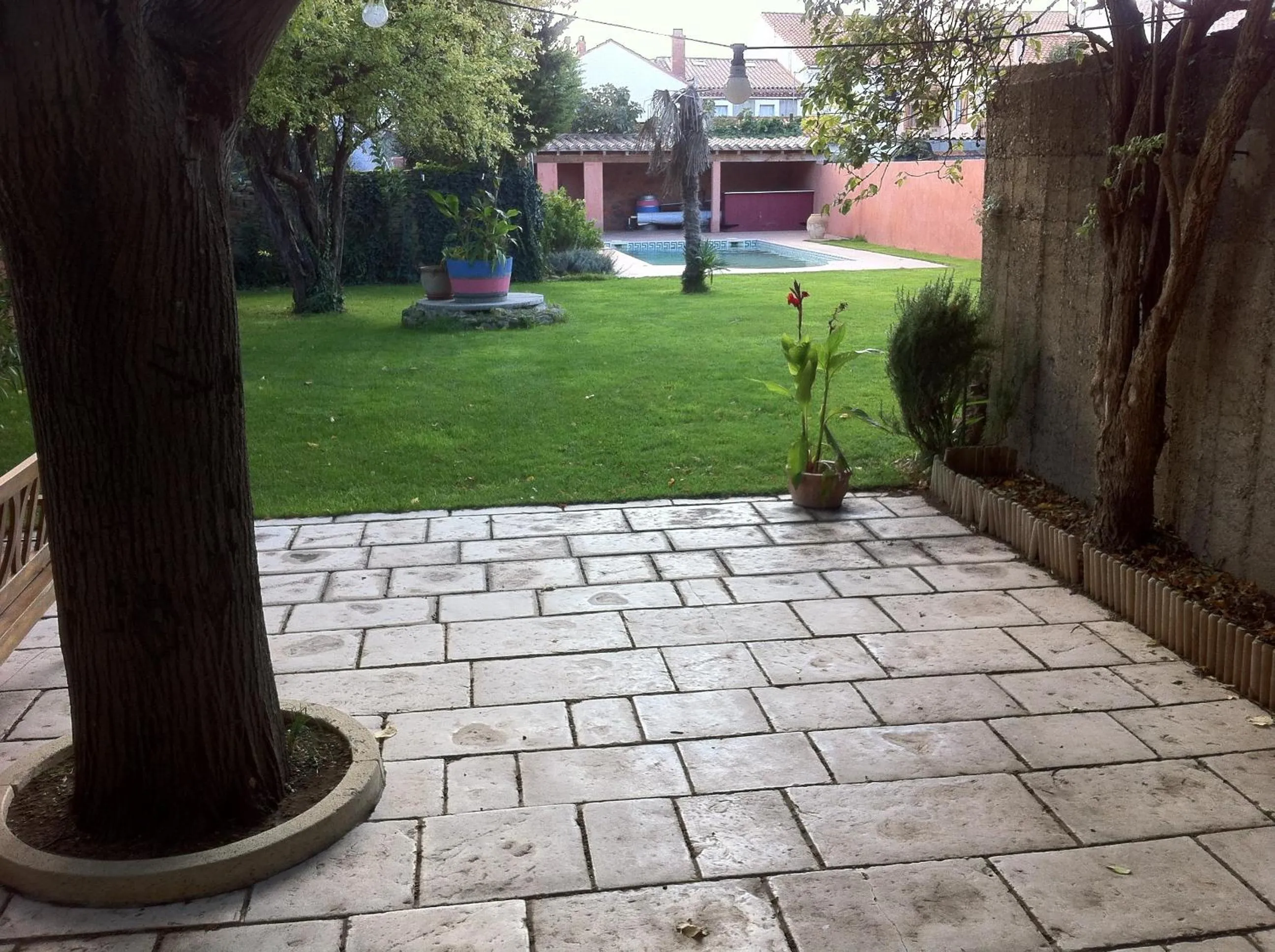 Garden view in La Cathare