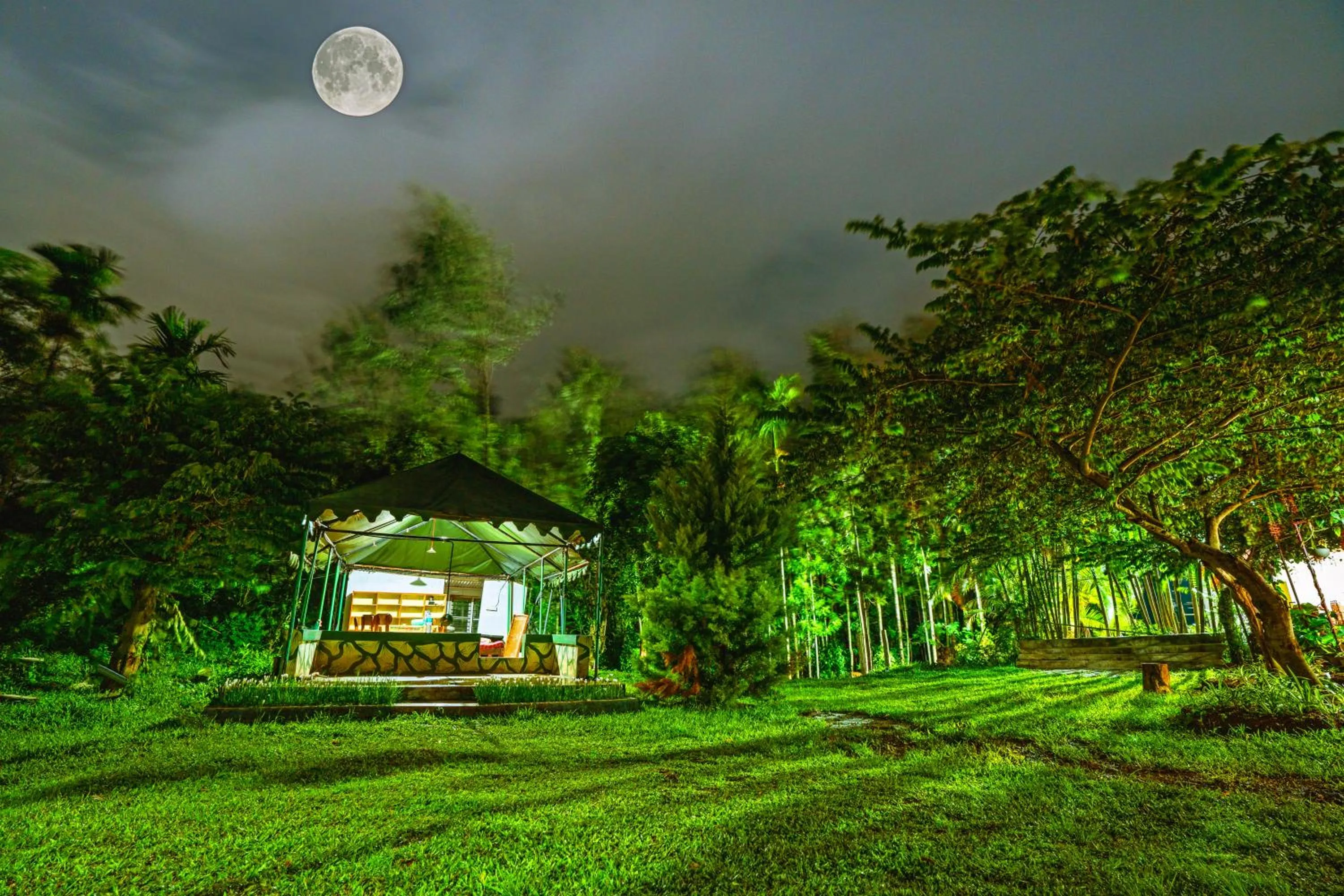 Natural landscape in Enso Luxury Stays