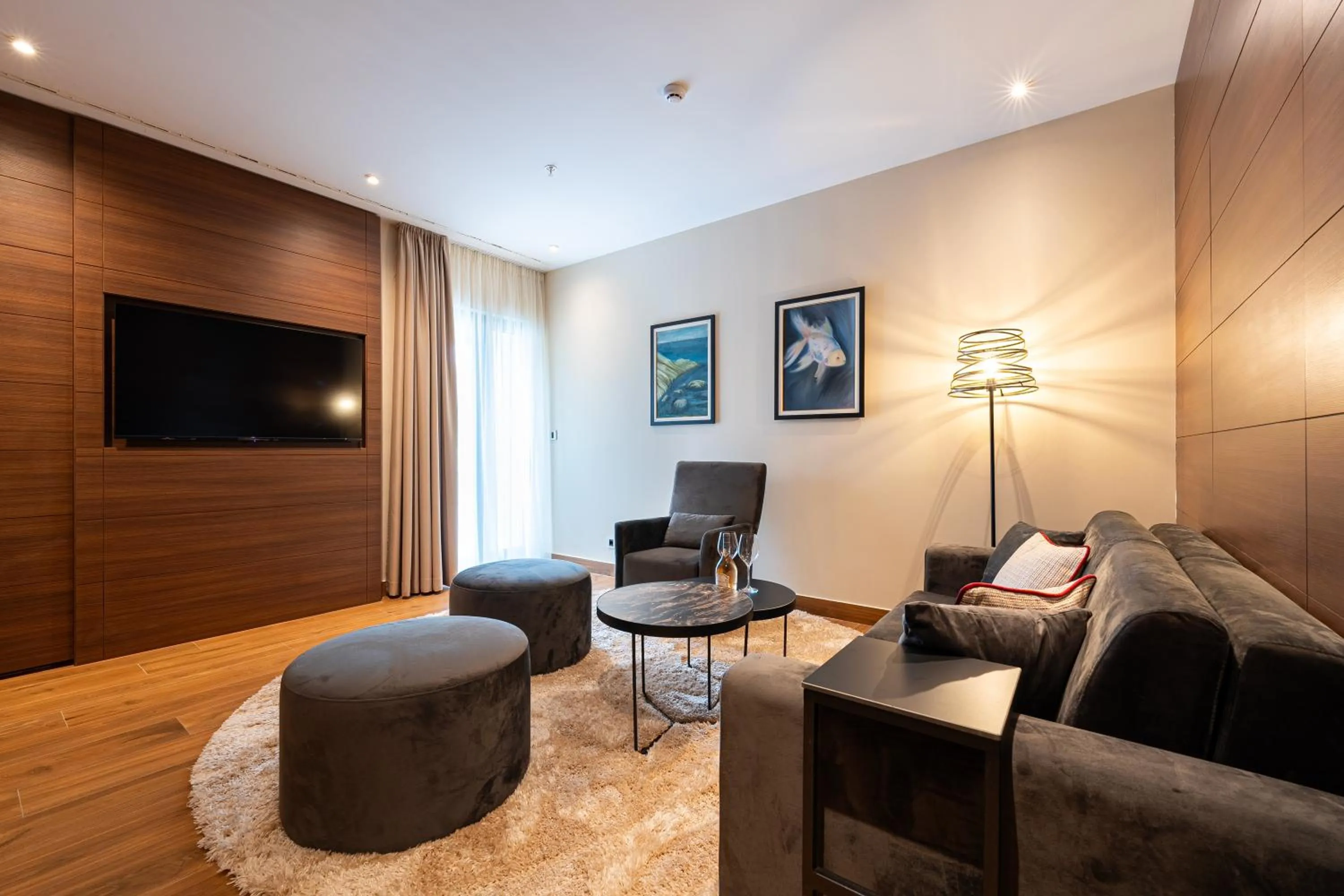 TV and multimedia in Hotel De‘Andros Virpazar