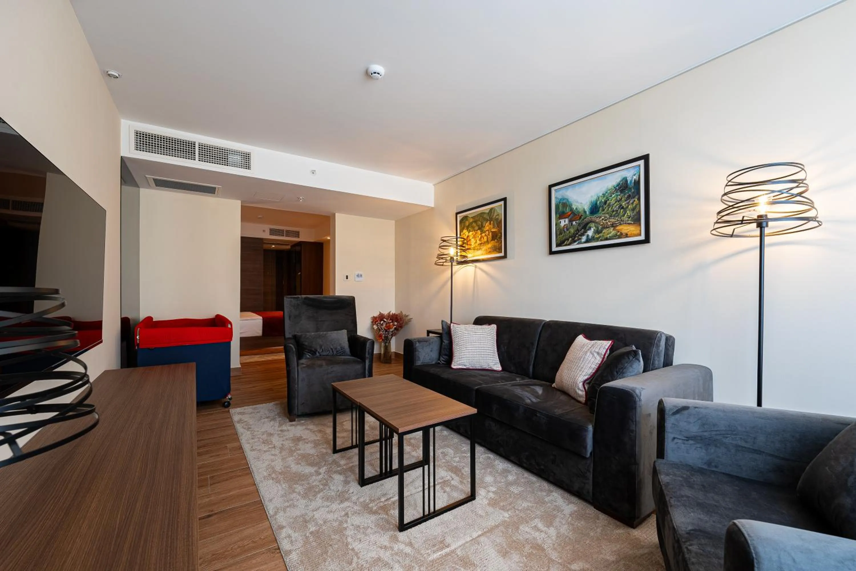 TV and multimedia in Hotel De‘Andros Virpazar