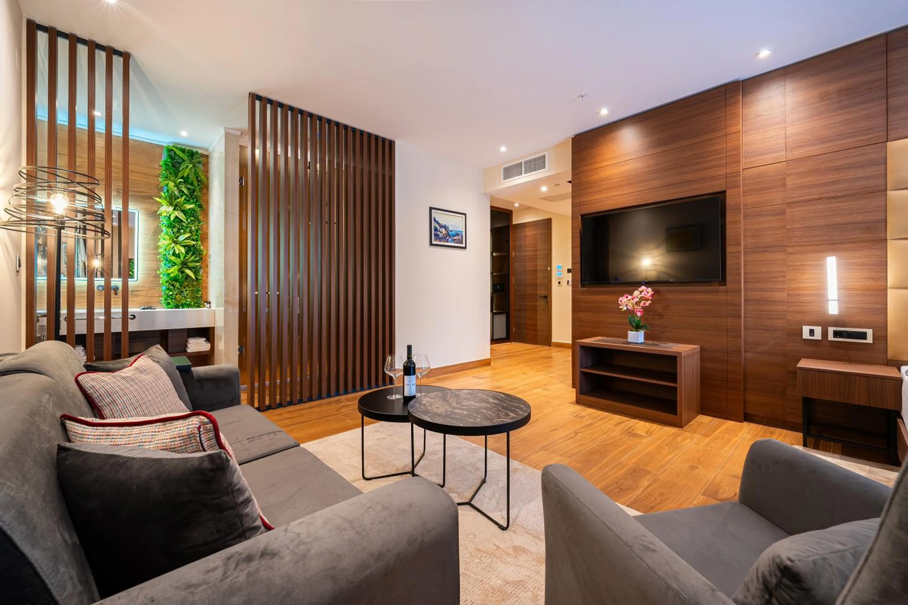 TV and multimedia in Hotel De‘Andros Virpazar