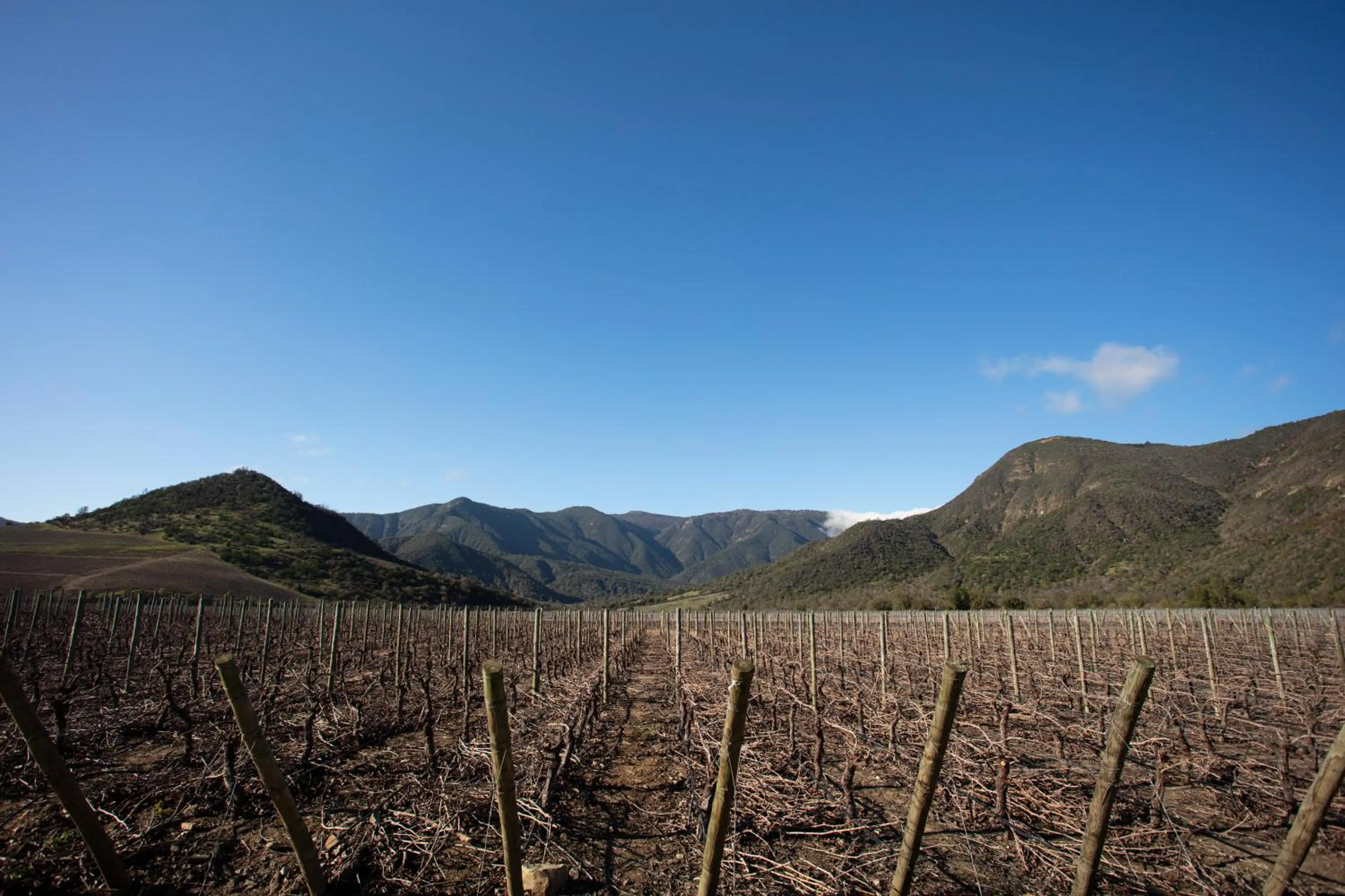 Natural landscape in Vik Chile