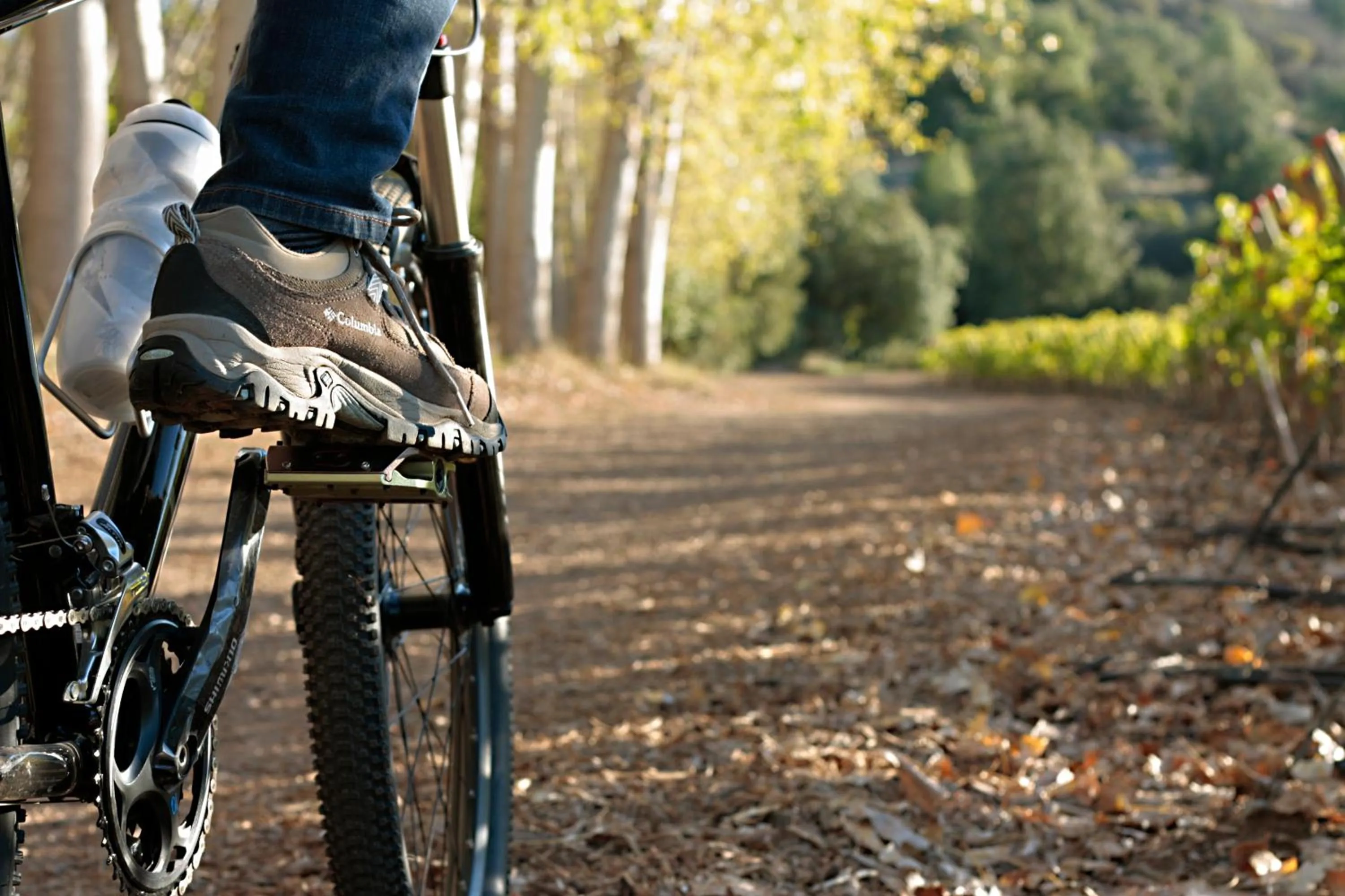 Cycling in Vik Chile