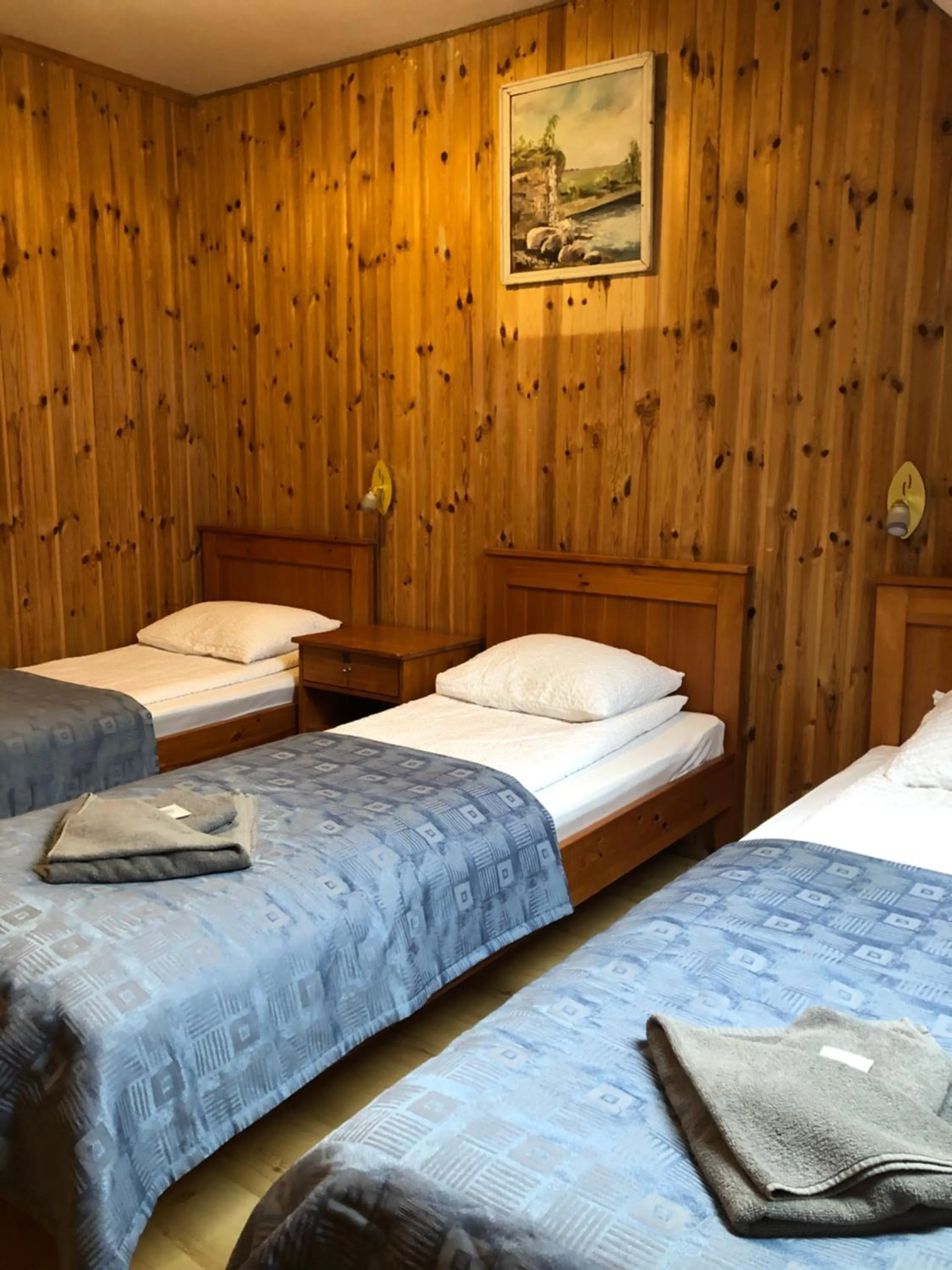 Triple Room with Shared Bathroom in Viesu nams Vālodzes