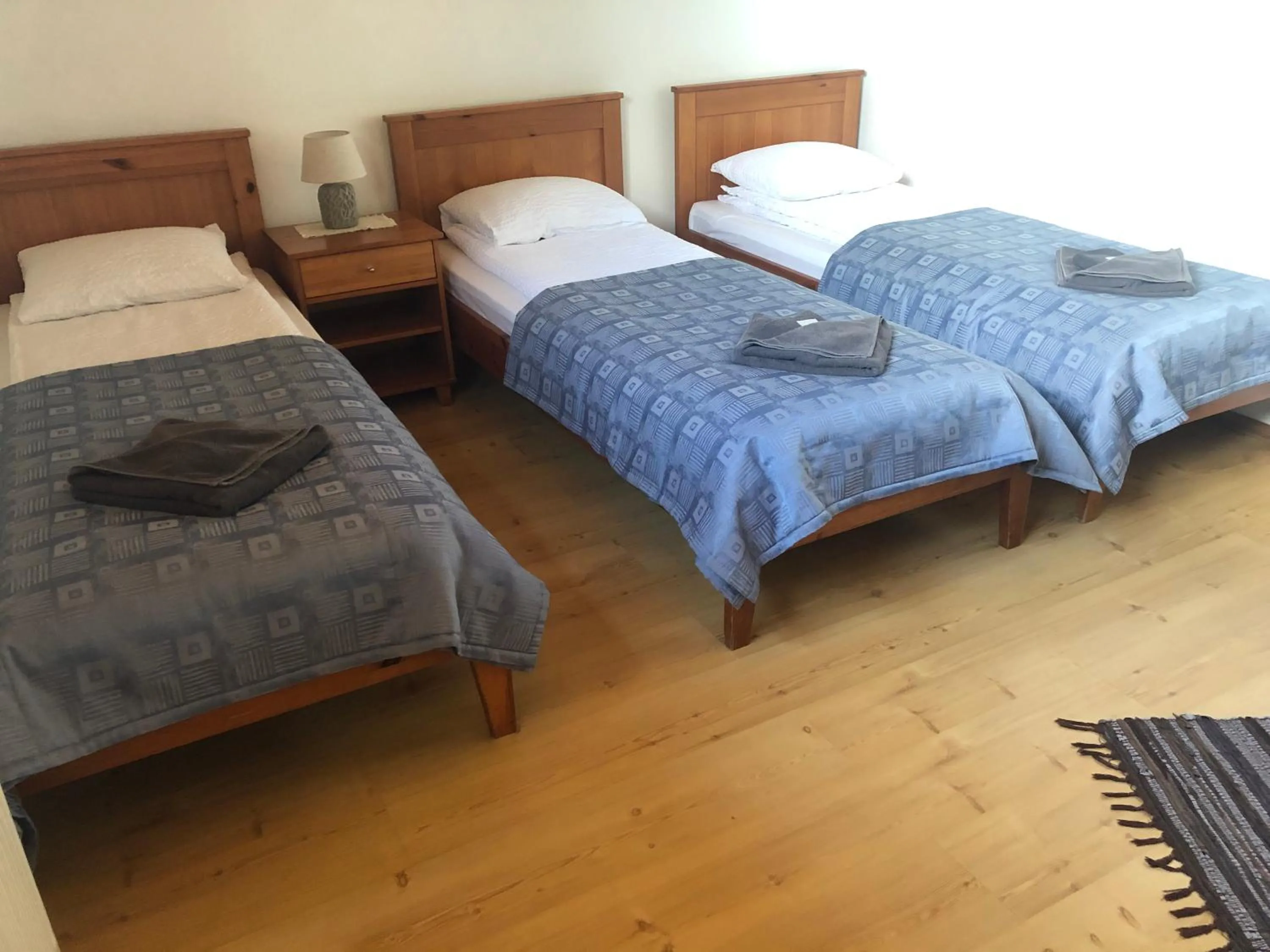 Triple Room with Private Bathroom in Viesu nams Vālodzes