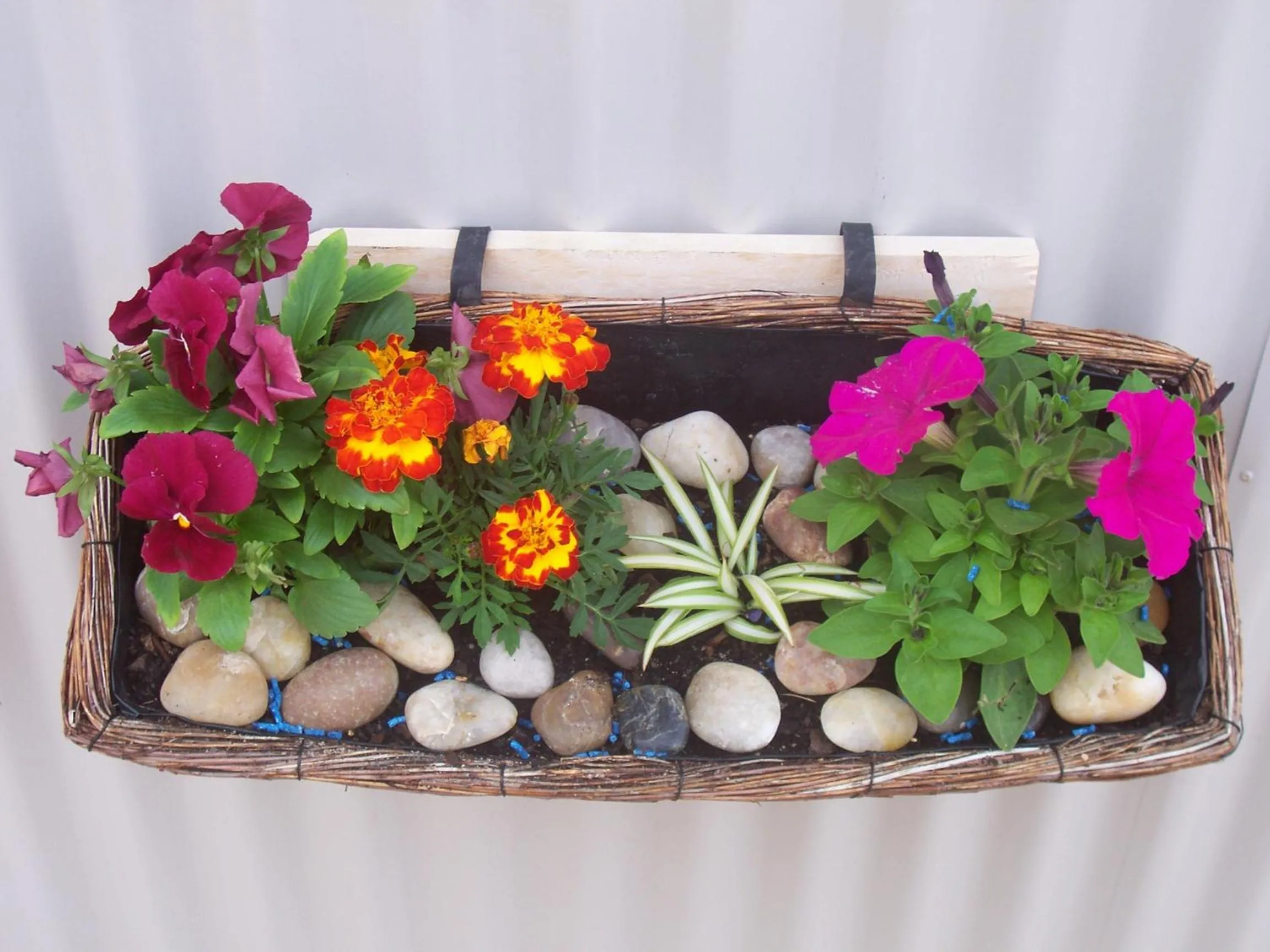 Garden in Clearwater Motel Apartments