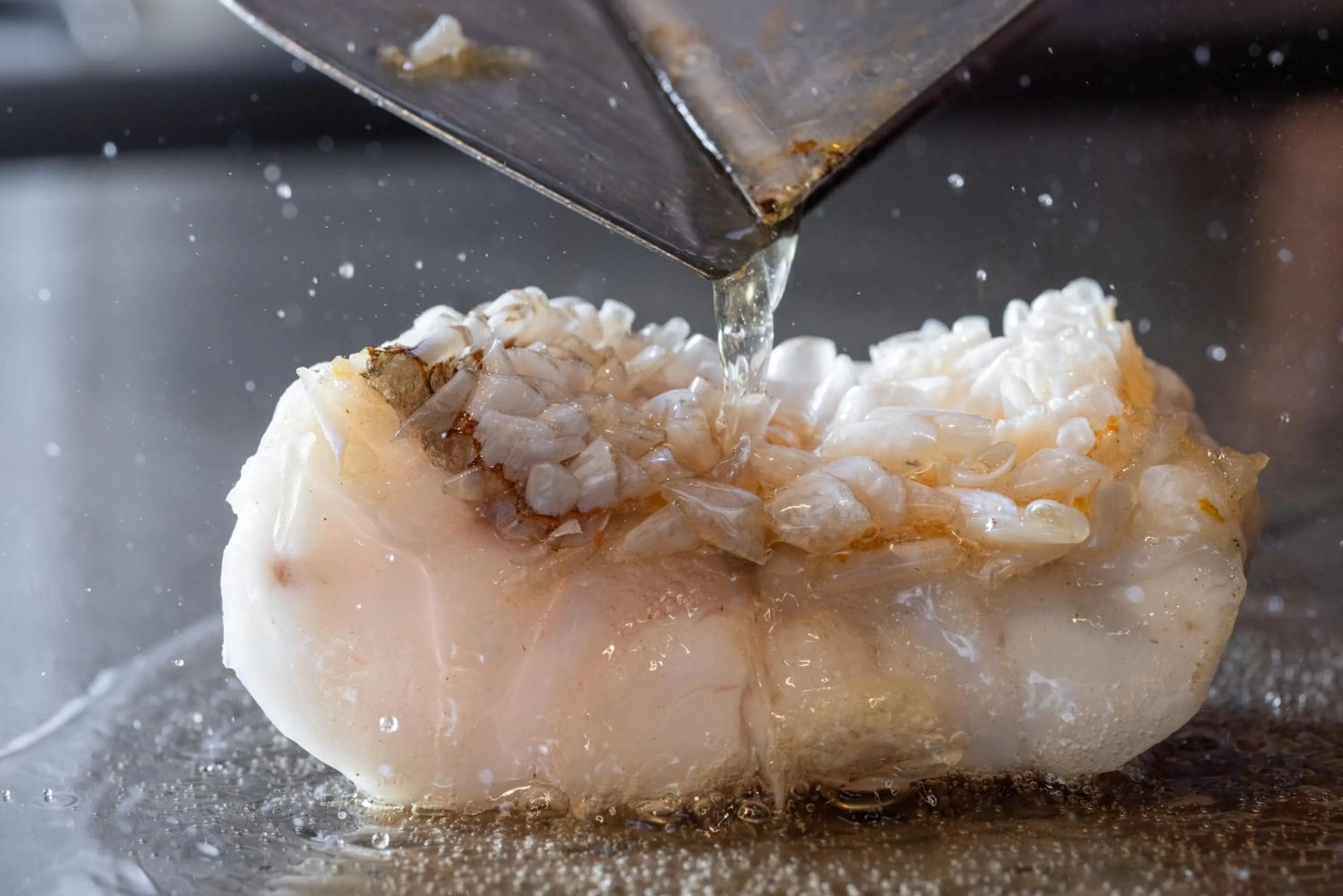 Restaurant/places to eat in Iki Stellacote Taiankaku