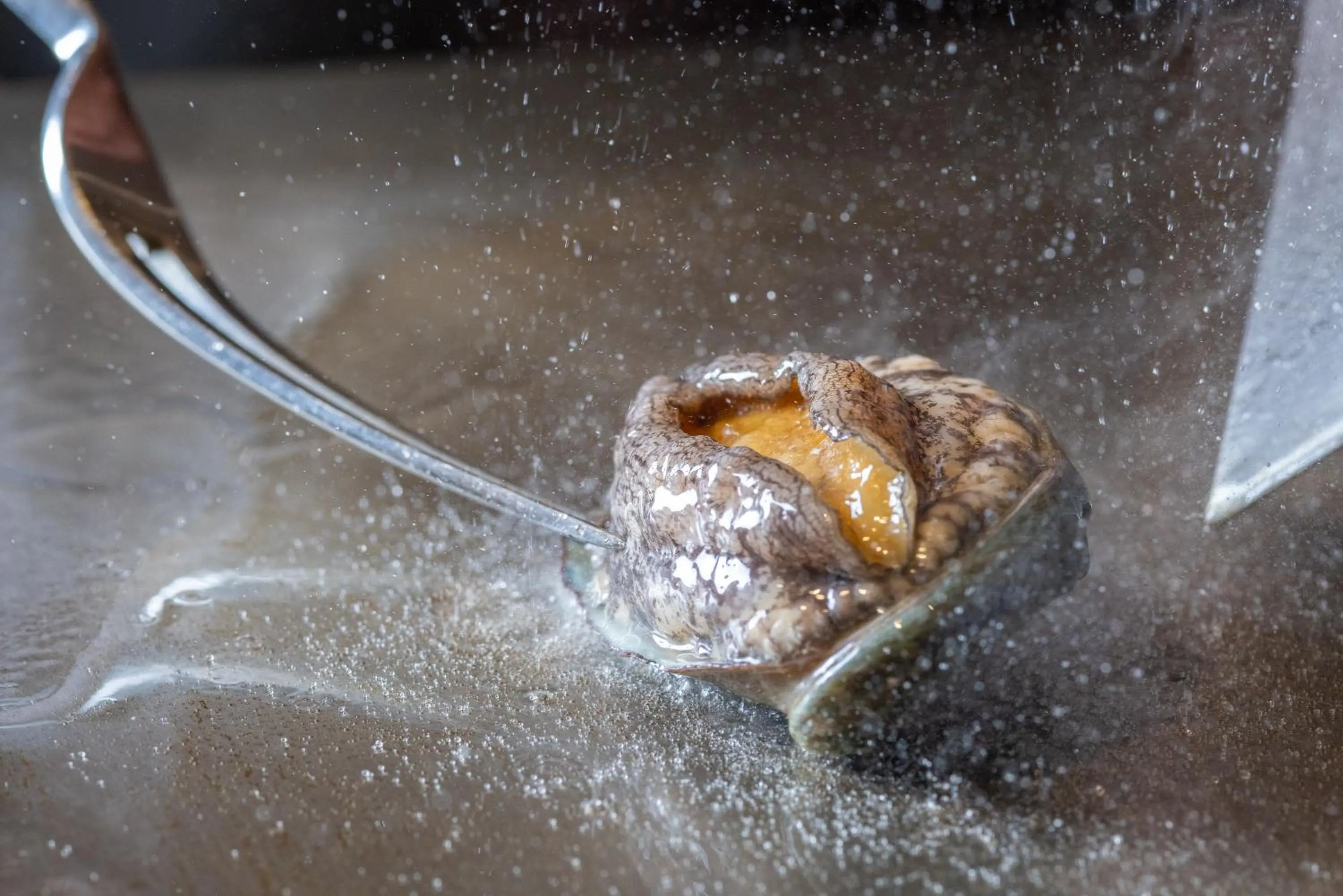 Food in Iki Stellacote Taiankaku