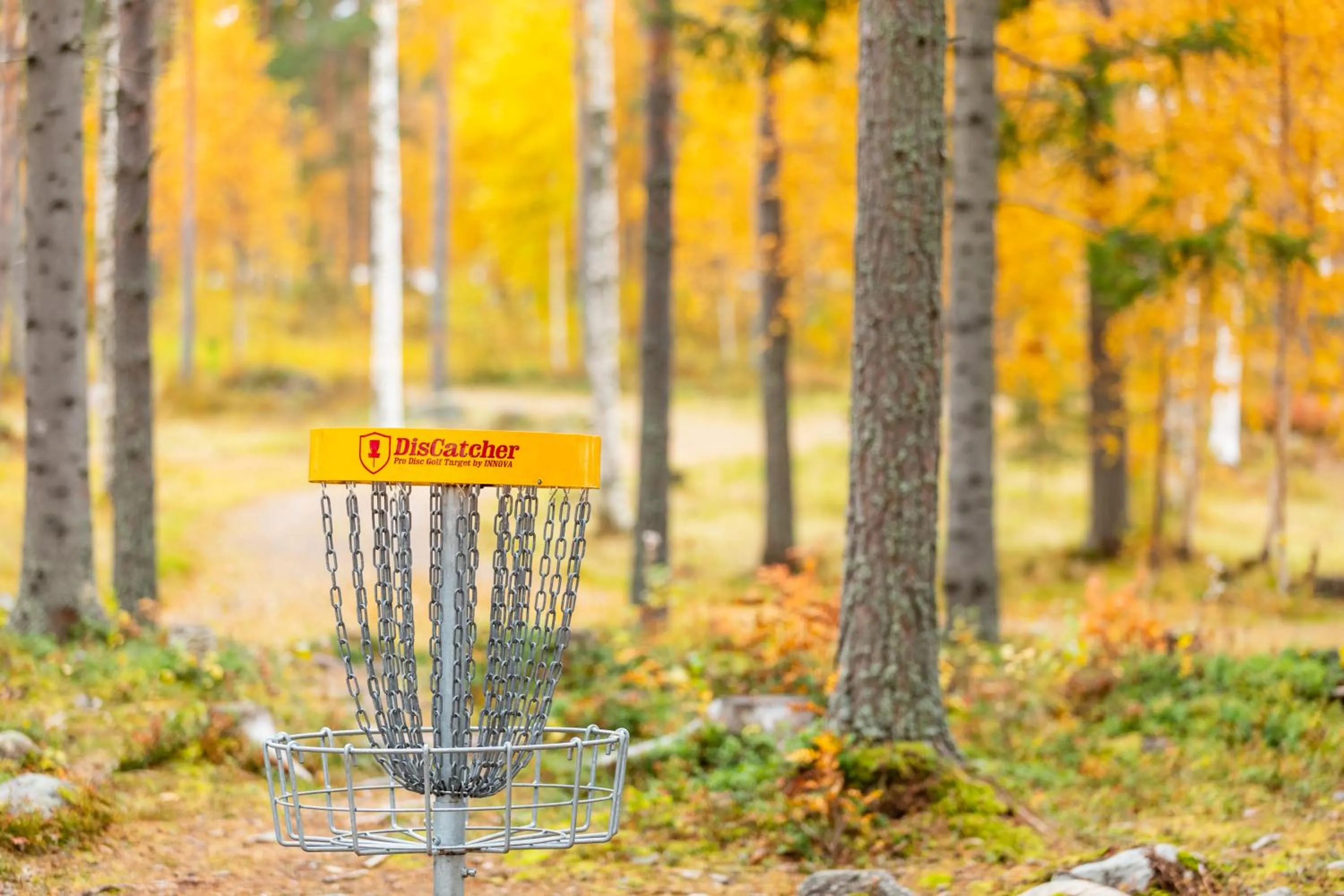 Sports in Lossisaari Tourist Center