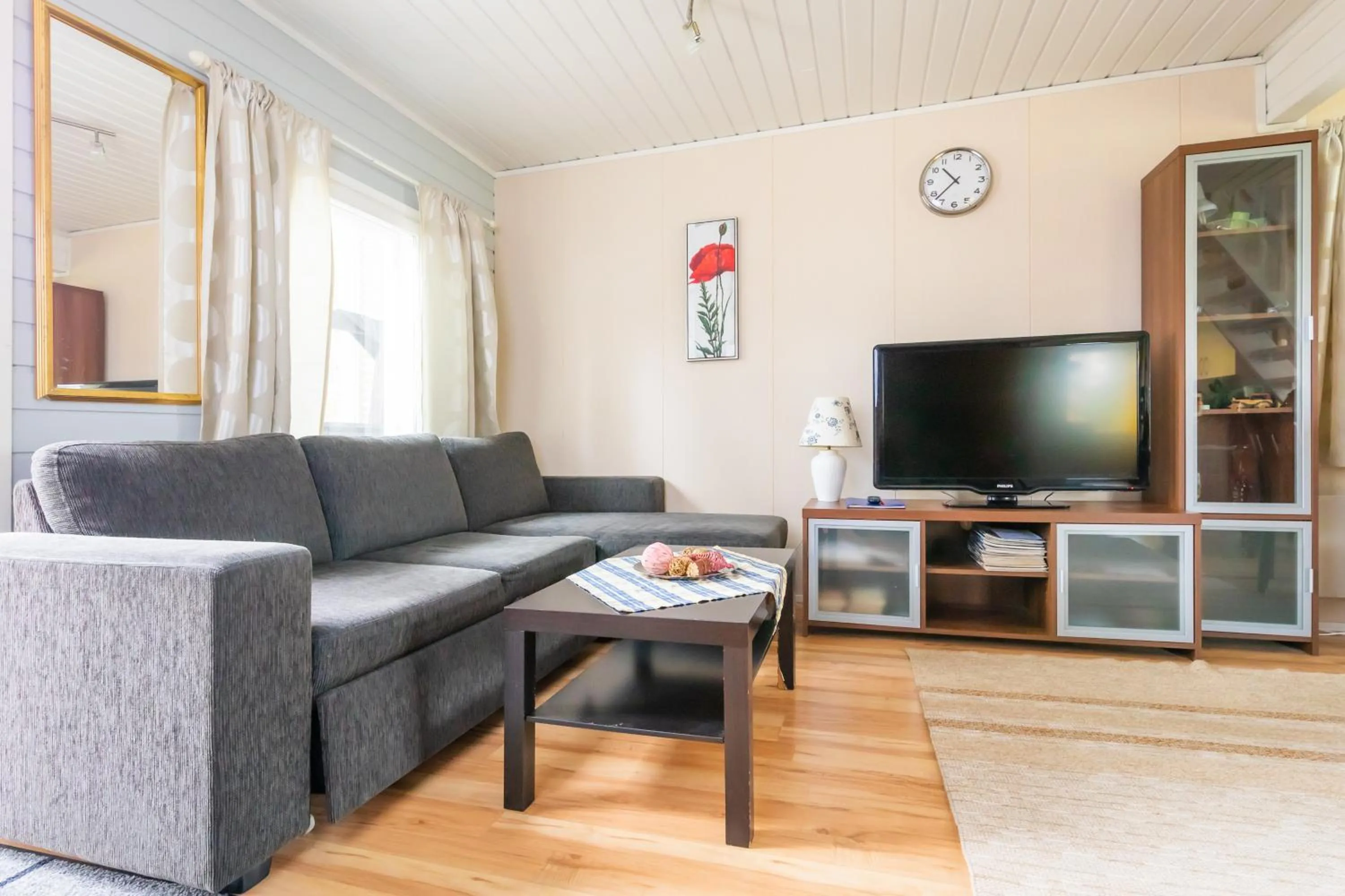 TV and multimedia in Lossisaari Tourist Center