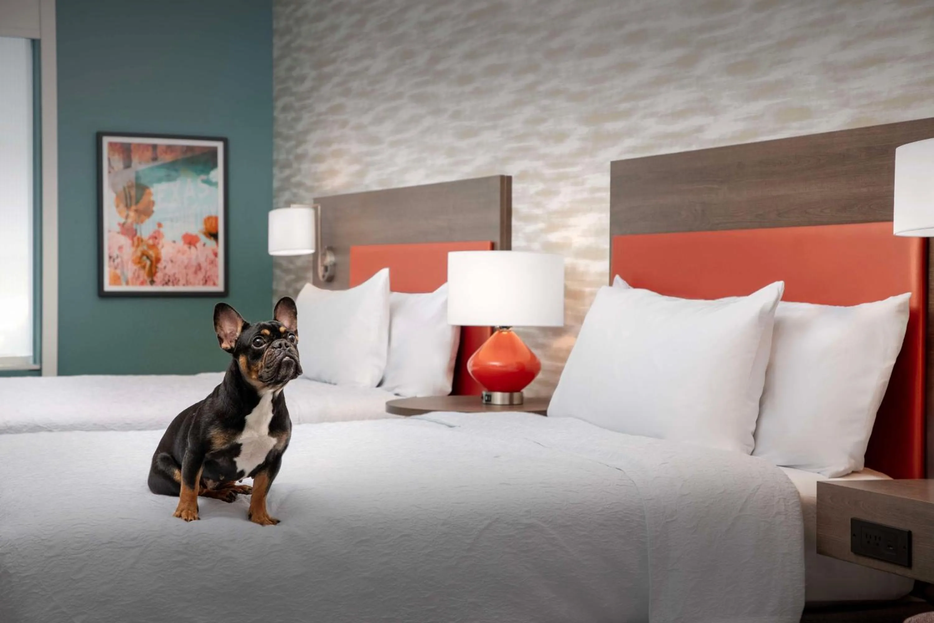 Photo of the whole room, Bed in Home2 Suites By Hilton Georgetown Austin North