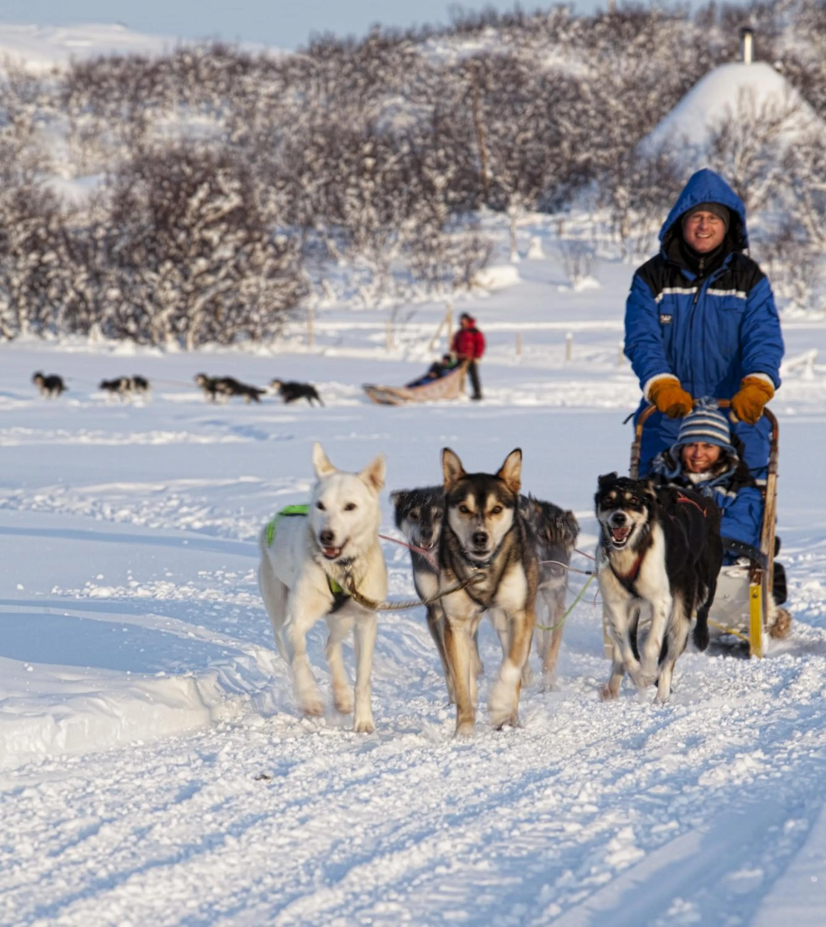 Winter in Snow Resort Kirkenes