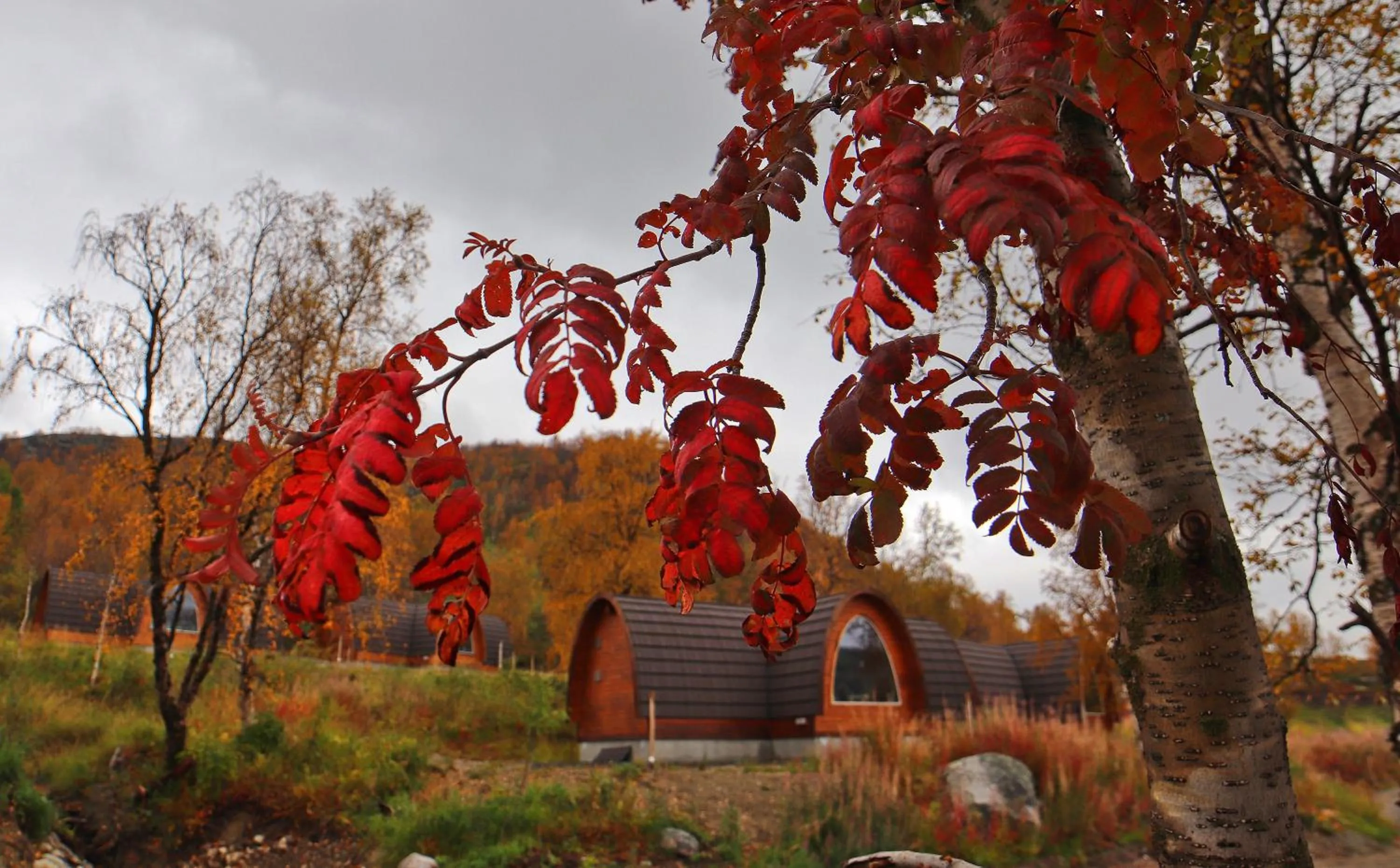 Property building in Snow Resort Kirkenes