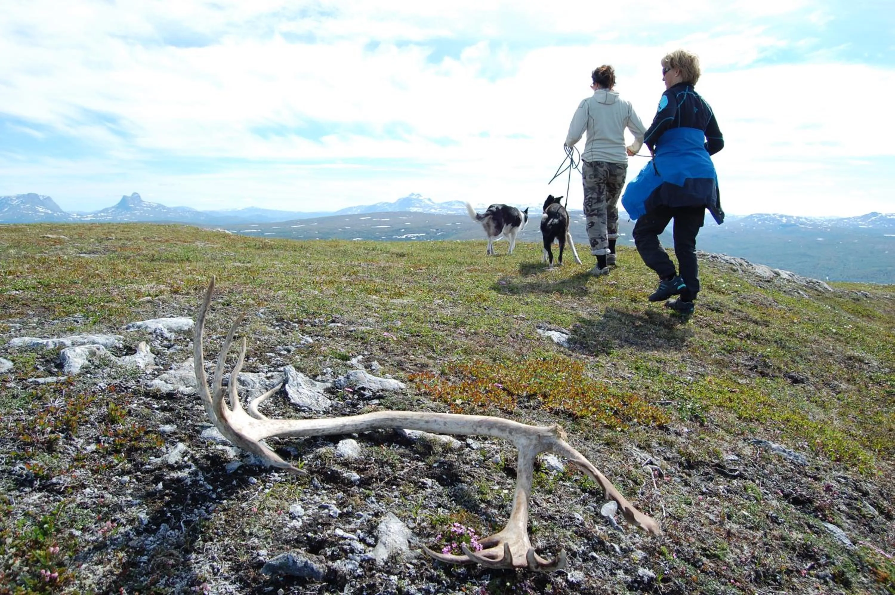Activities in Snow Resort Kirkenes