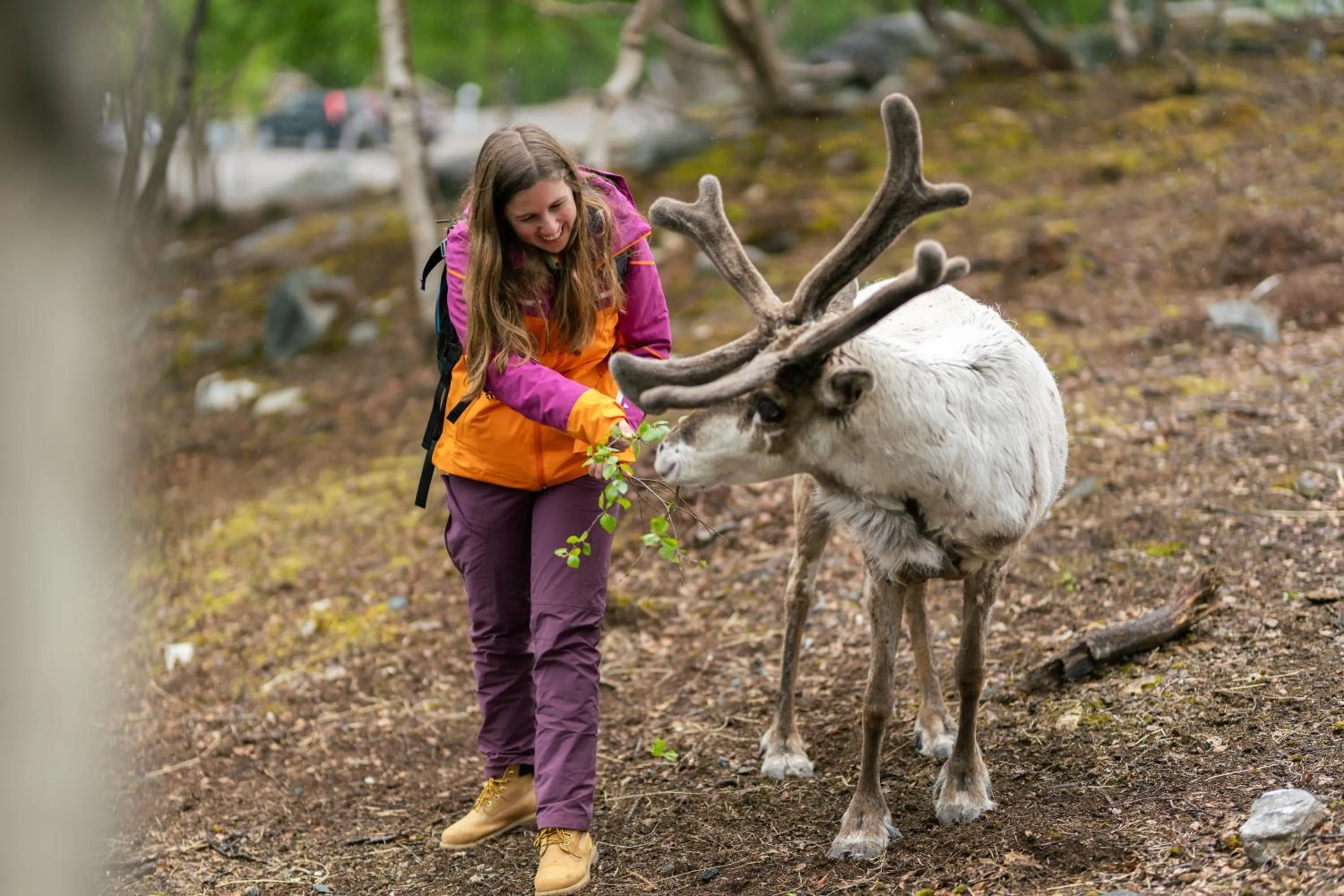 Activities in Snow Resort Kirkenes