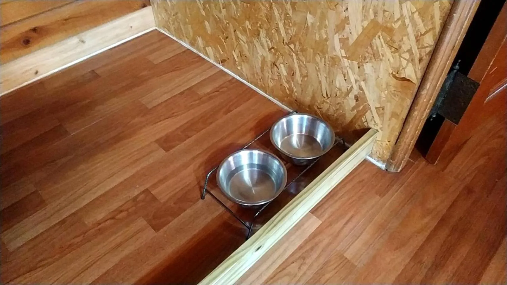 Pets in Master Bear Resort