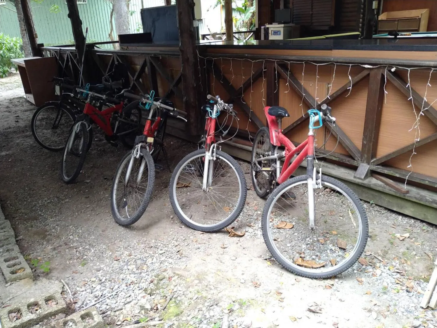 Cycling in Master Bear Resort