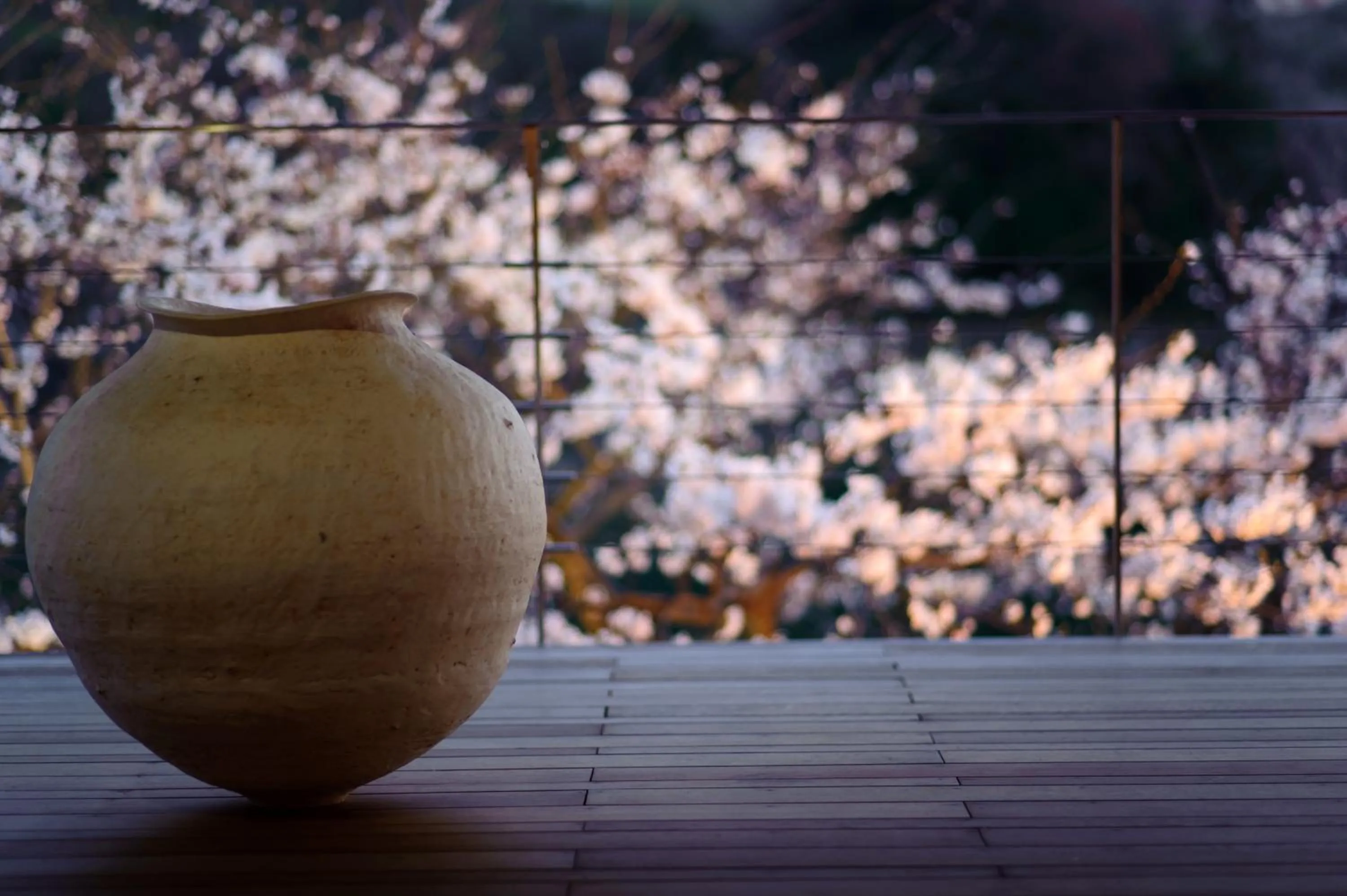 Garden in River Retreat Garaku