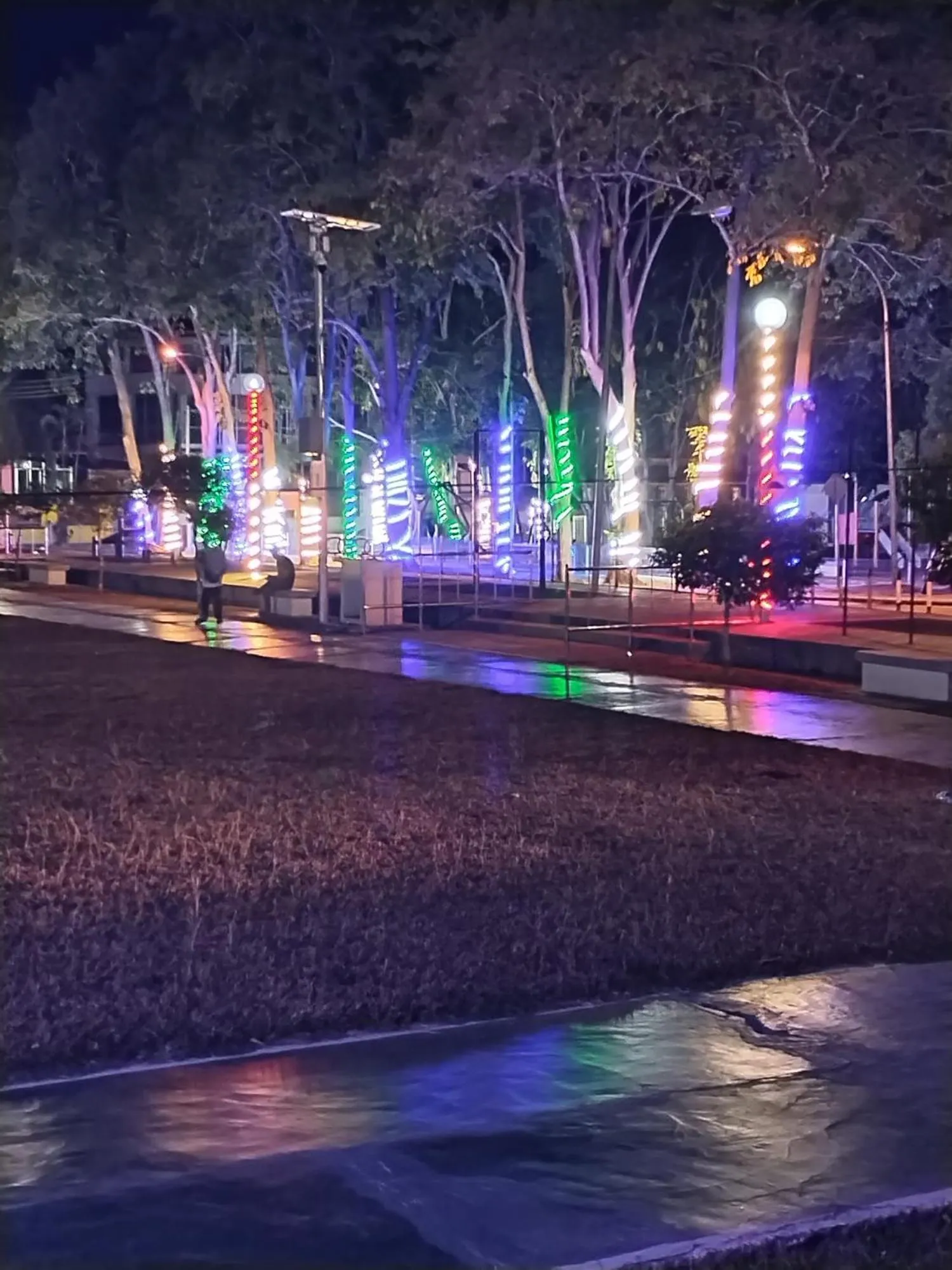 Night in WISMA ORCHID HOMESTAY Tuaran