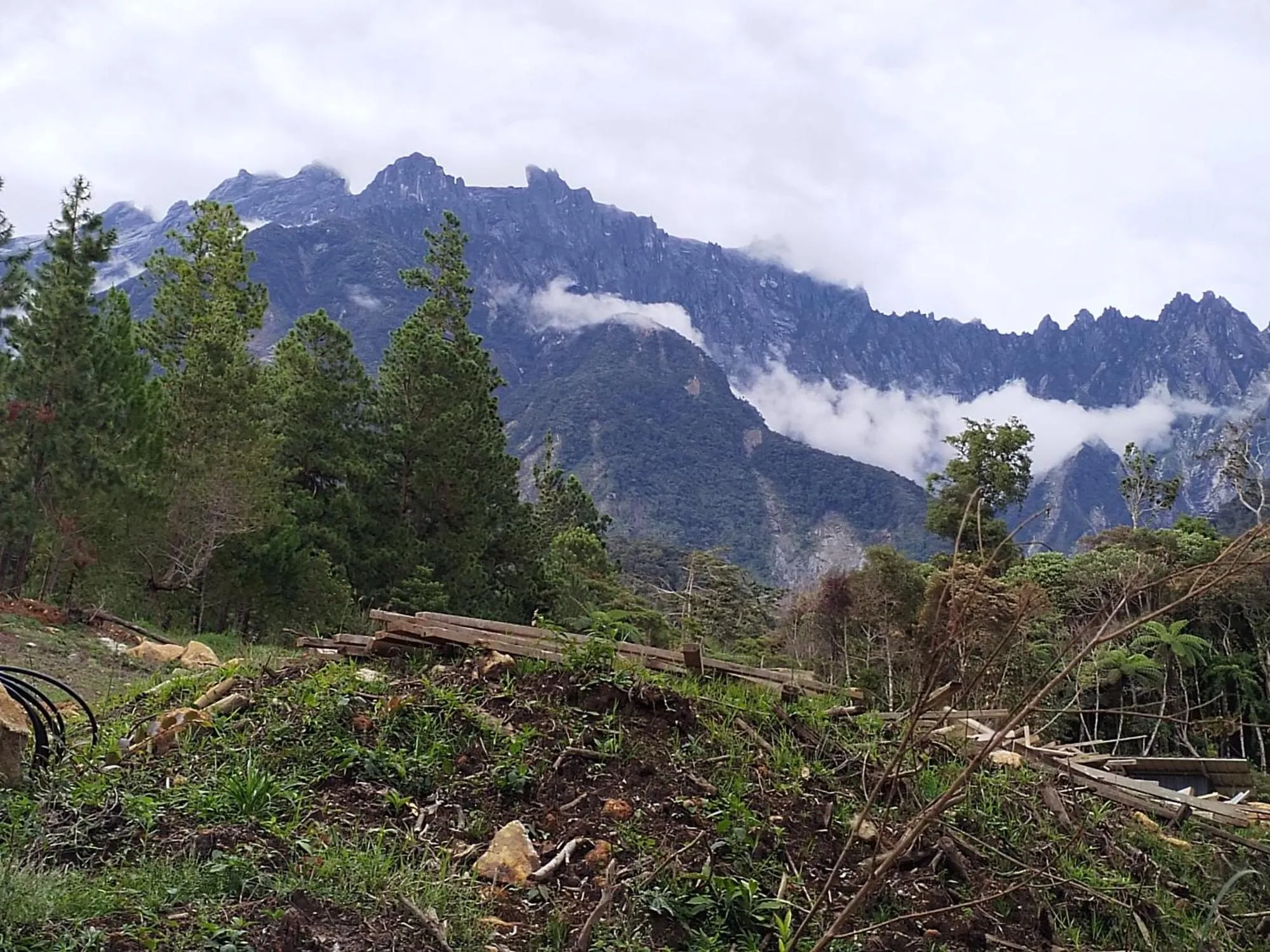 Mountain view in WISMA ORCHID HOMESTAY Tuaran