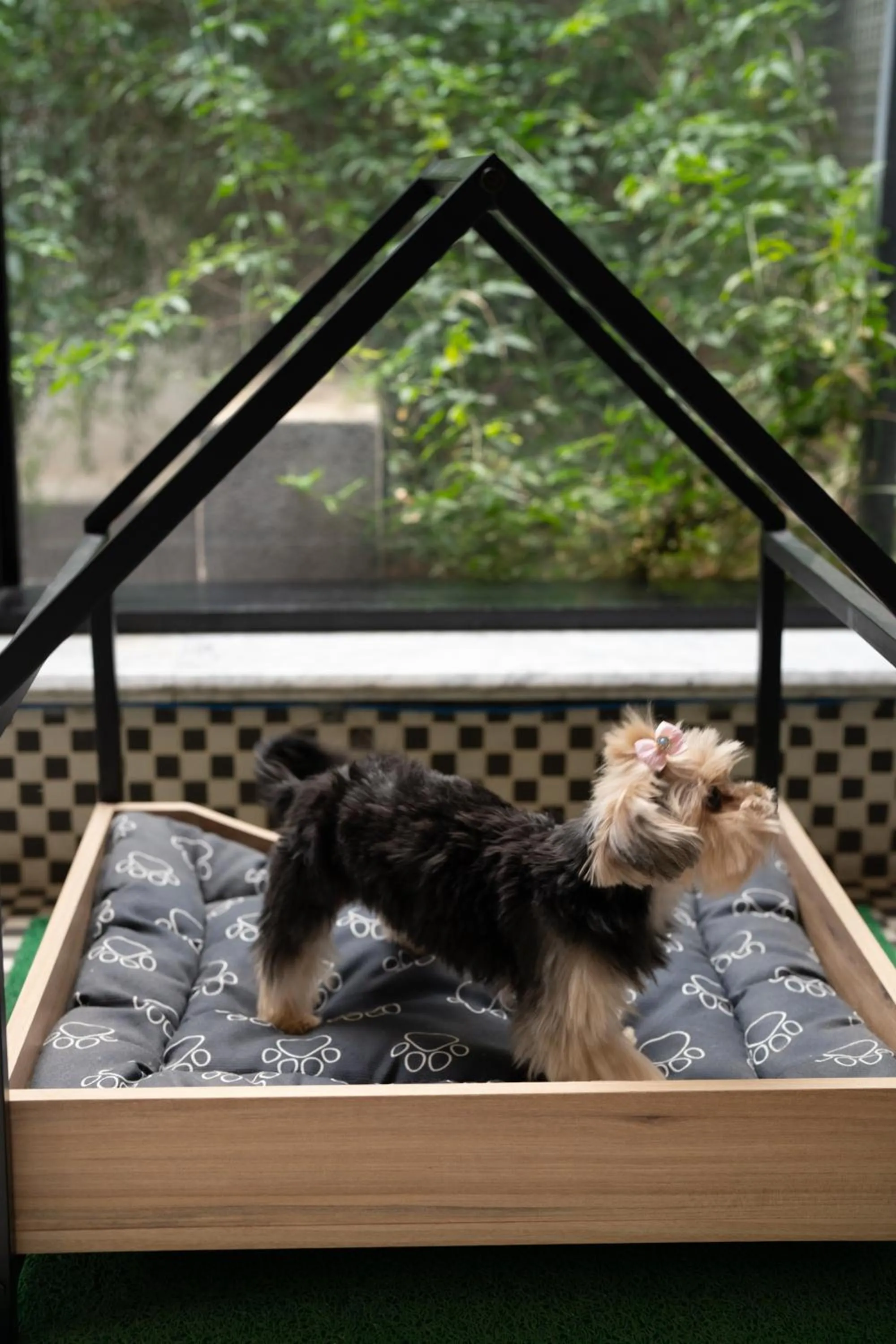 Pets in Intercity Interative São Paulo Jardins