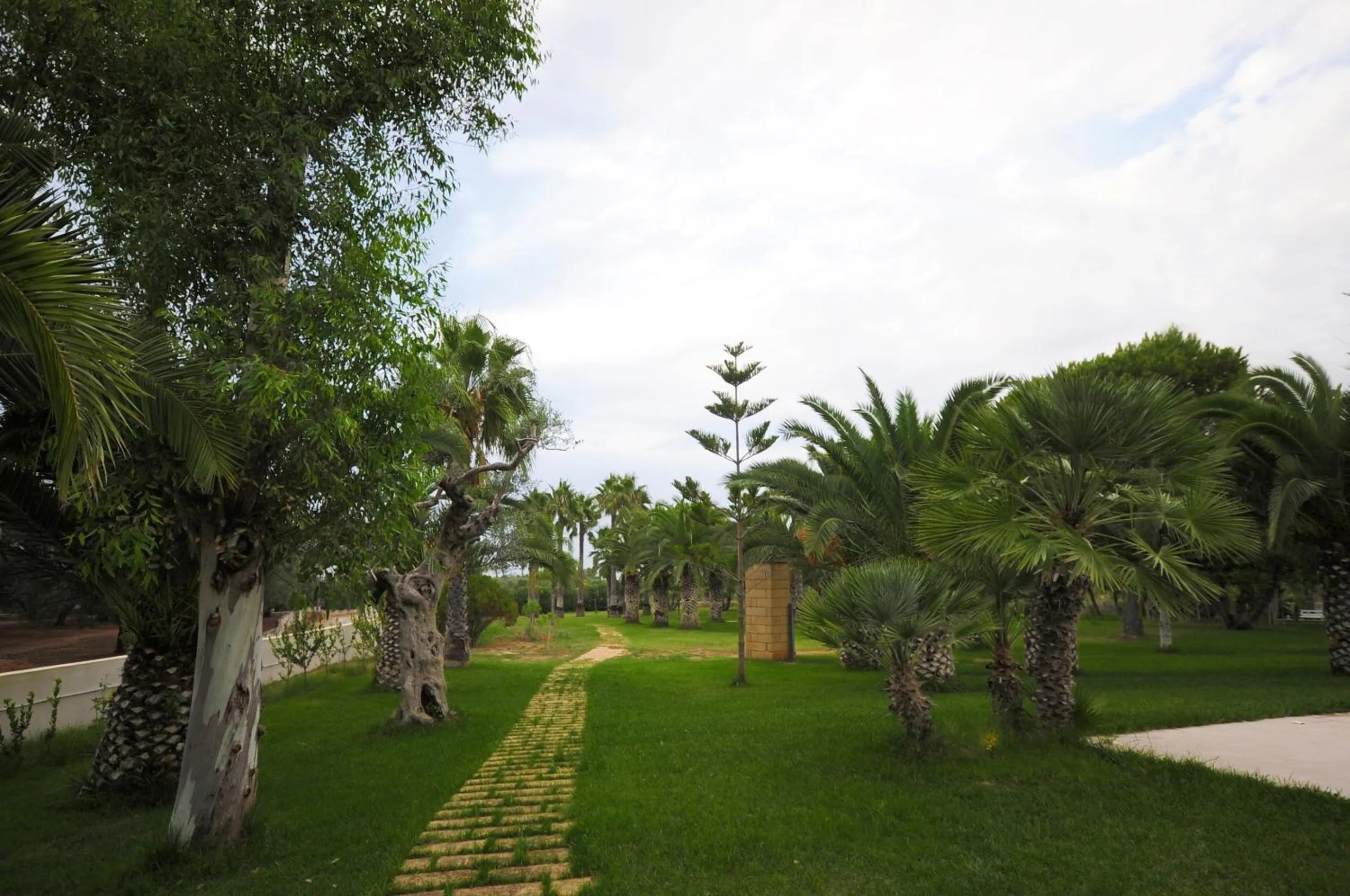 Garden in Tenuta Espada Luxury Residence