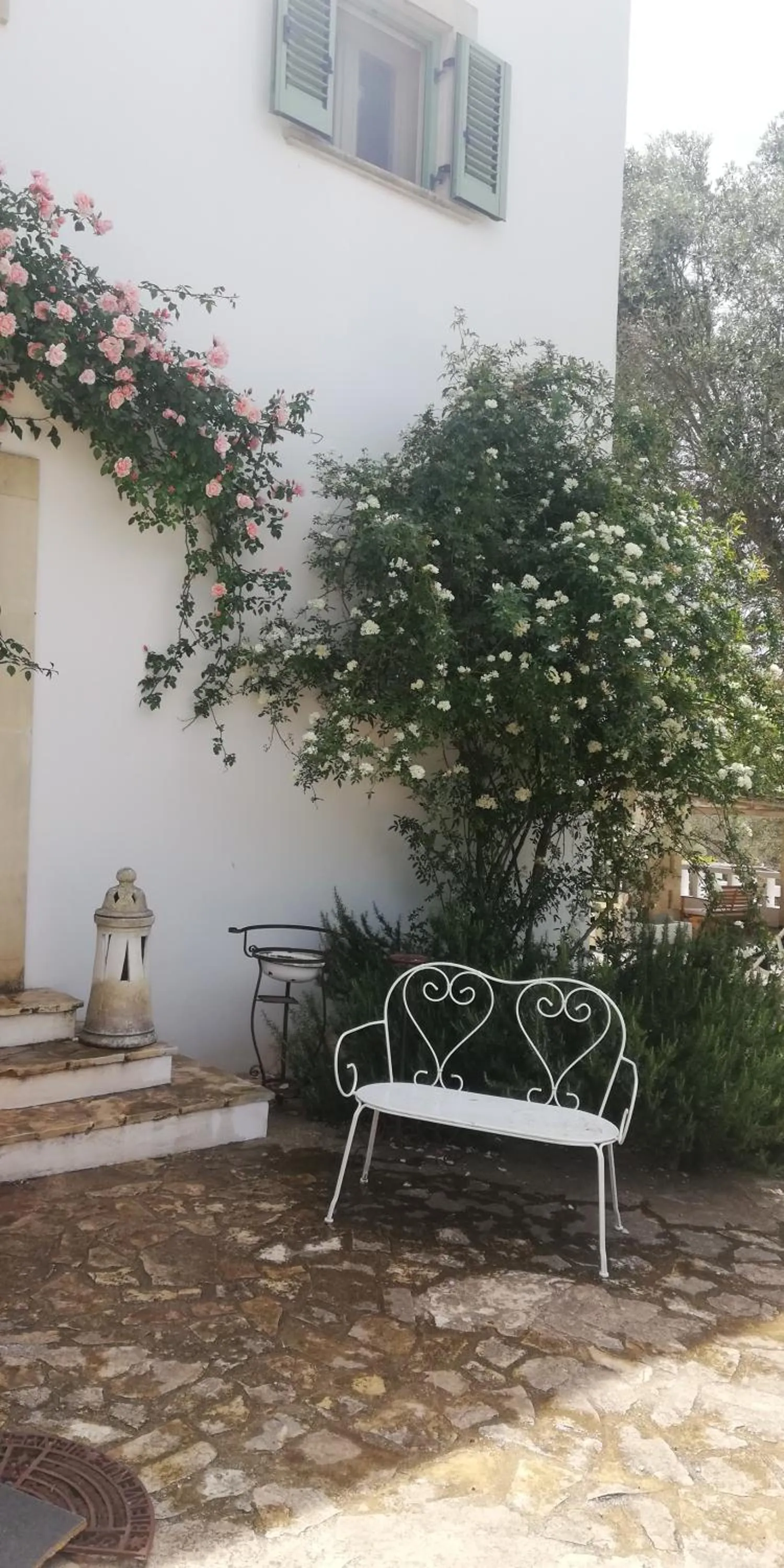 Spring in B&B Giovannarolla Green House