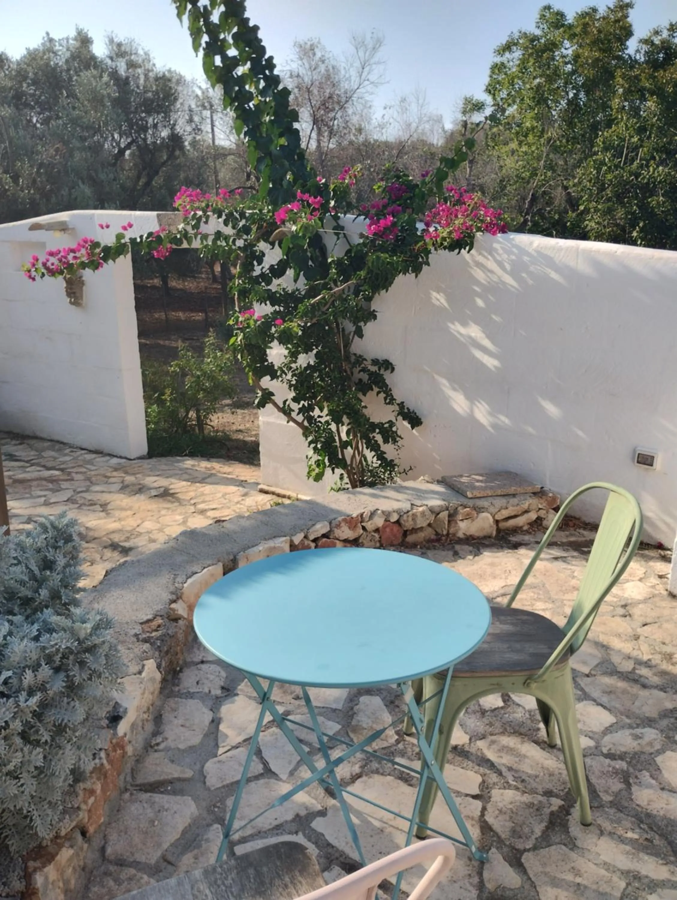 BBQ facilities in B&B Giovannarolla Green House