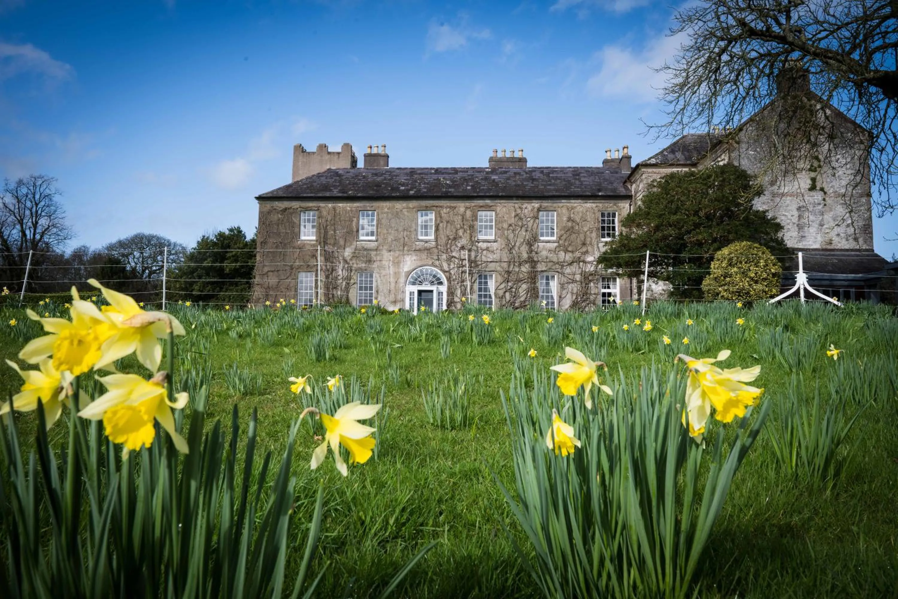 Property building in Ballymaloe House Hotel