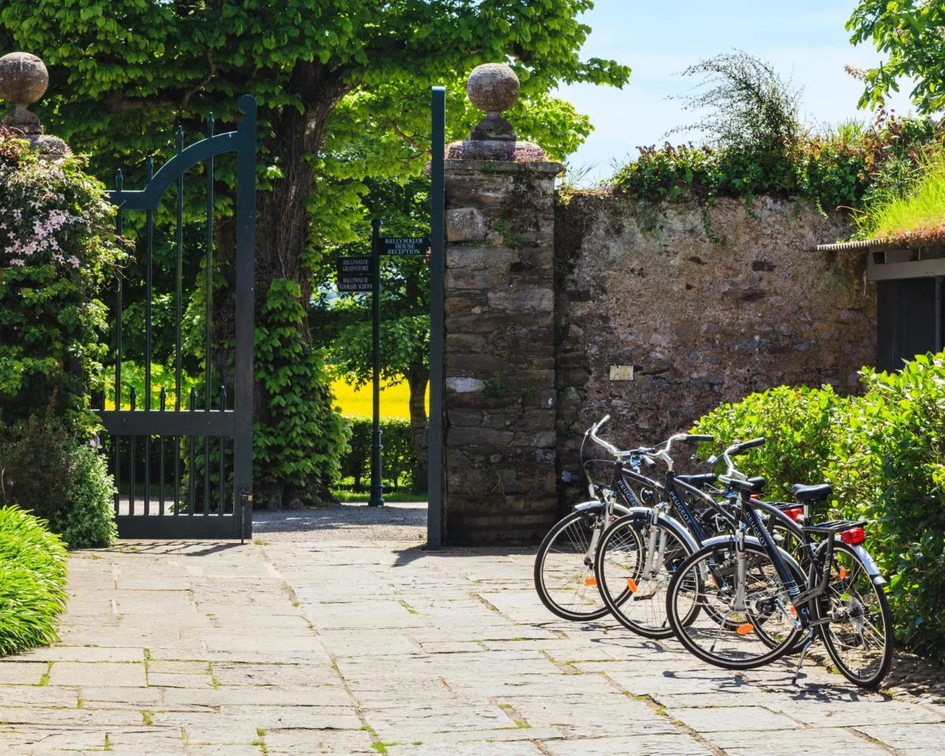 Cycling in Ballymaloe House Hotel