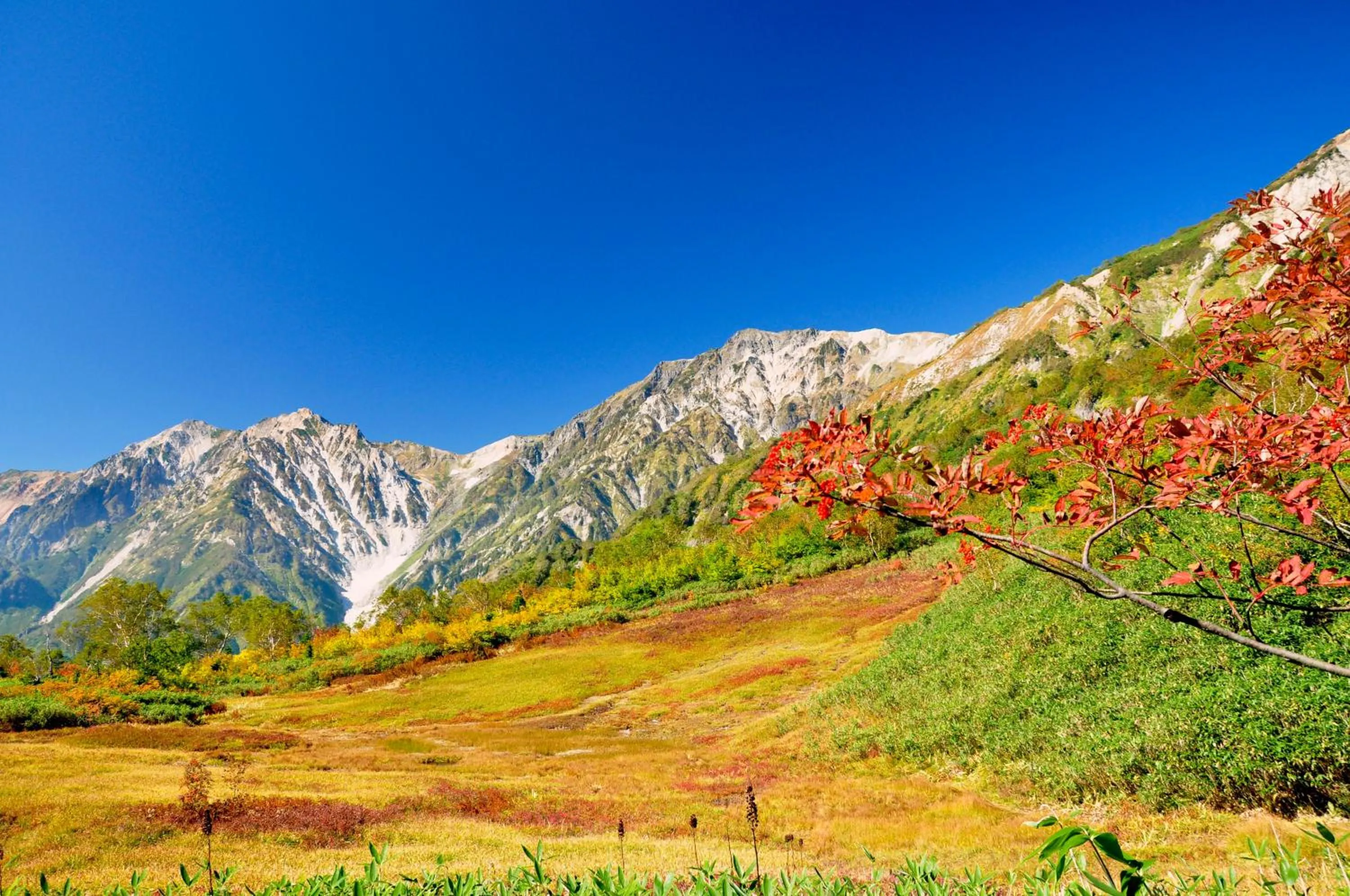Hiking in Hotel Hakuba Berghaus