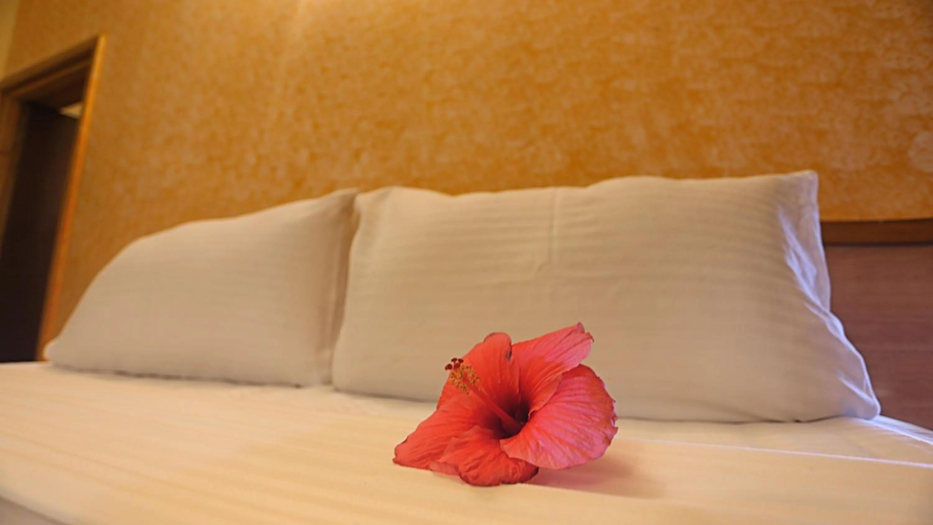 Bed in Calangute Residency