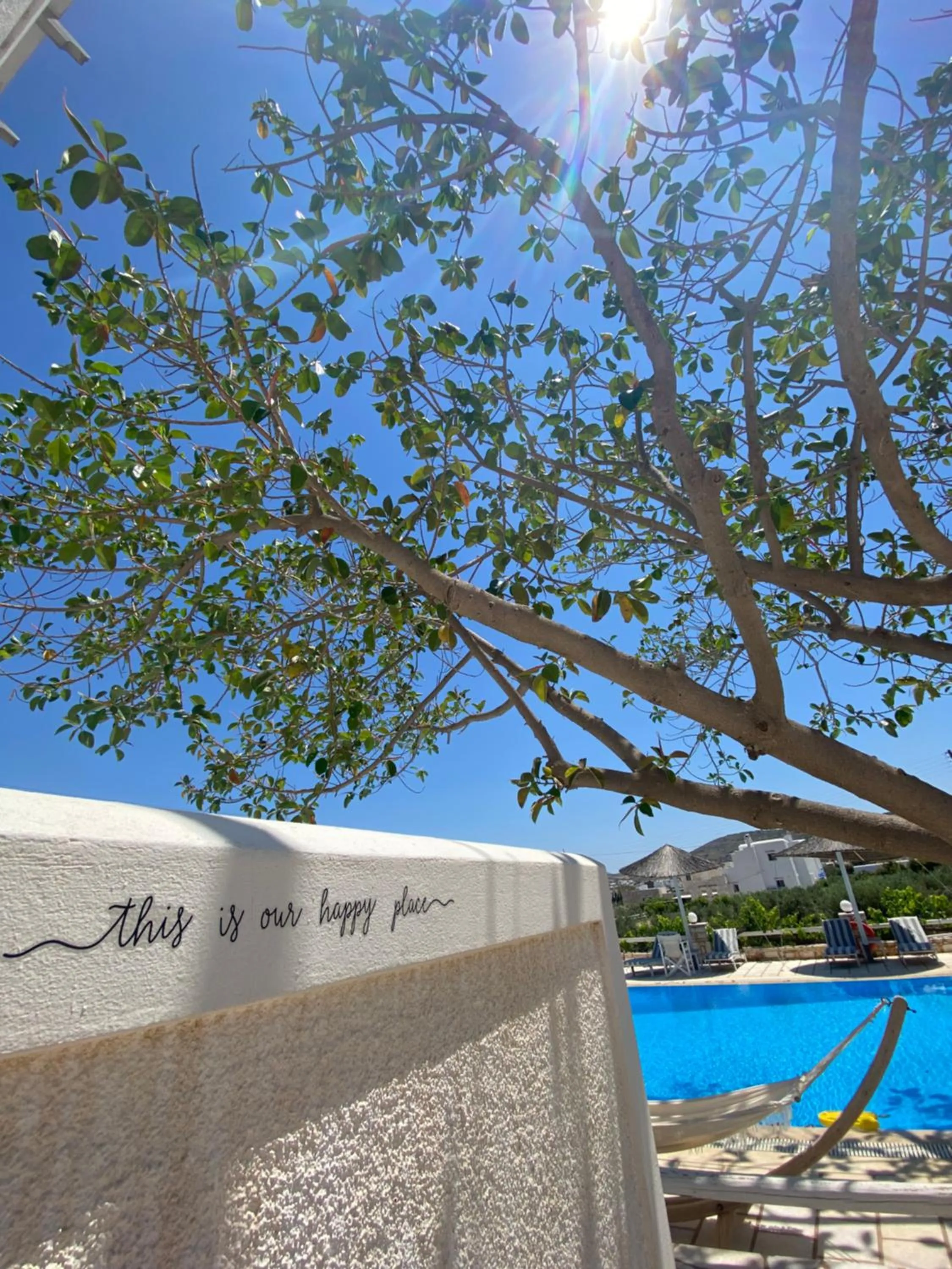 Pool view in Margarita Studios Ambelas