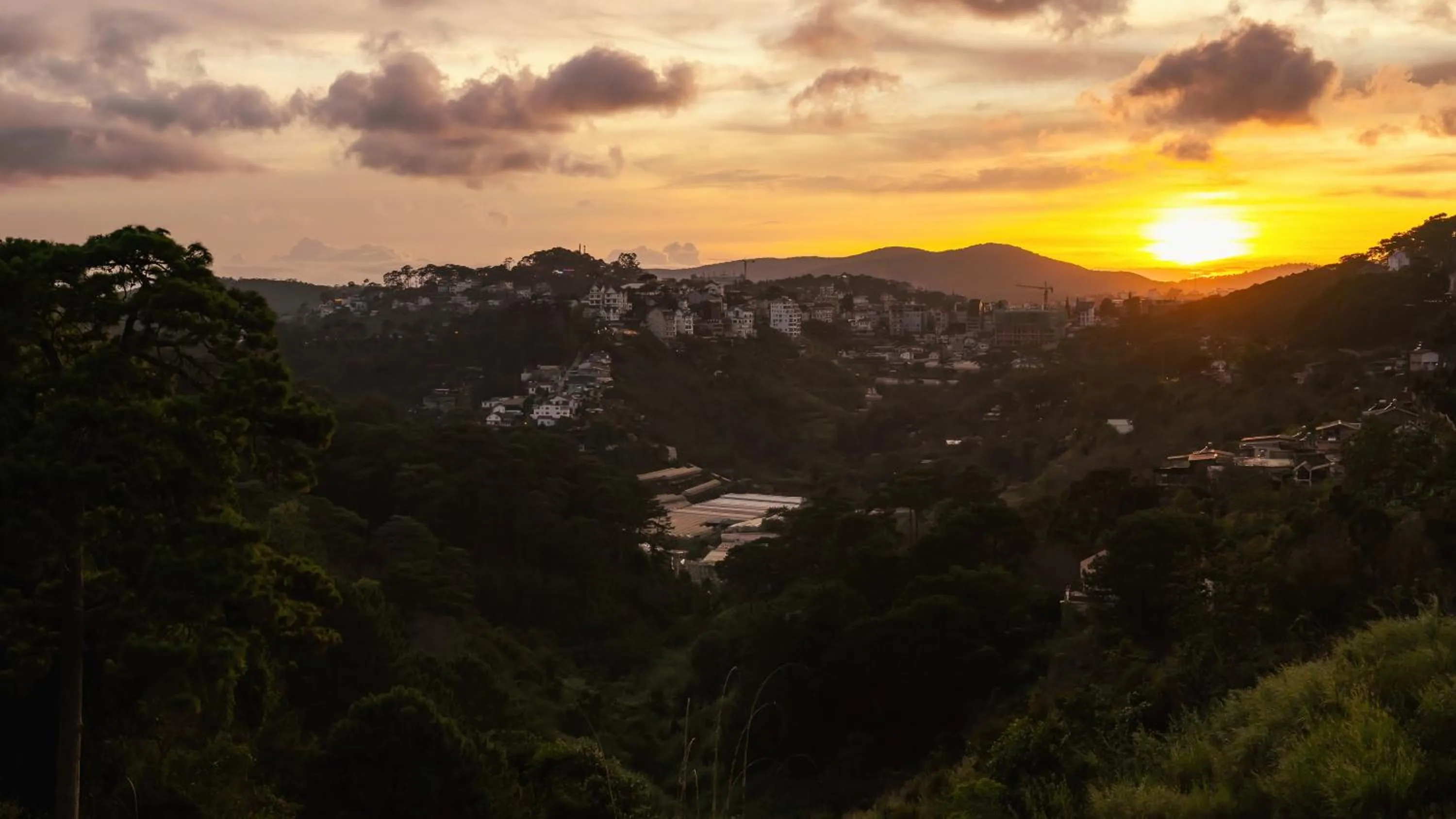 Night in Greenview City Hotel