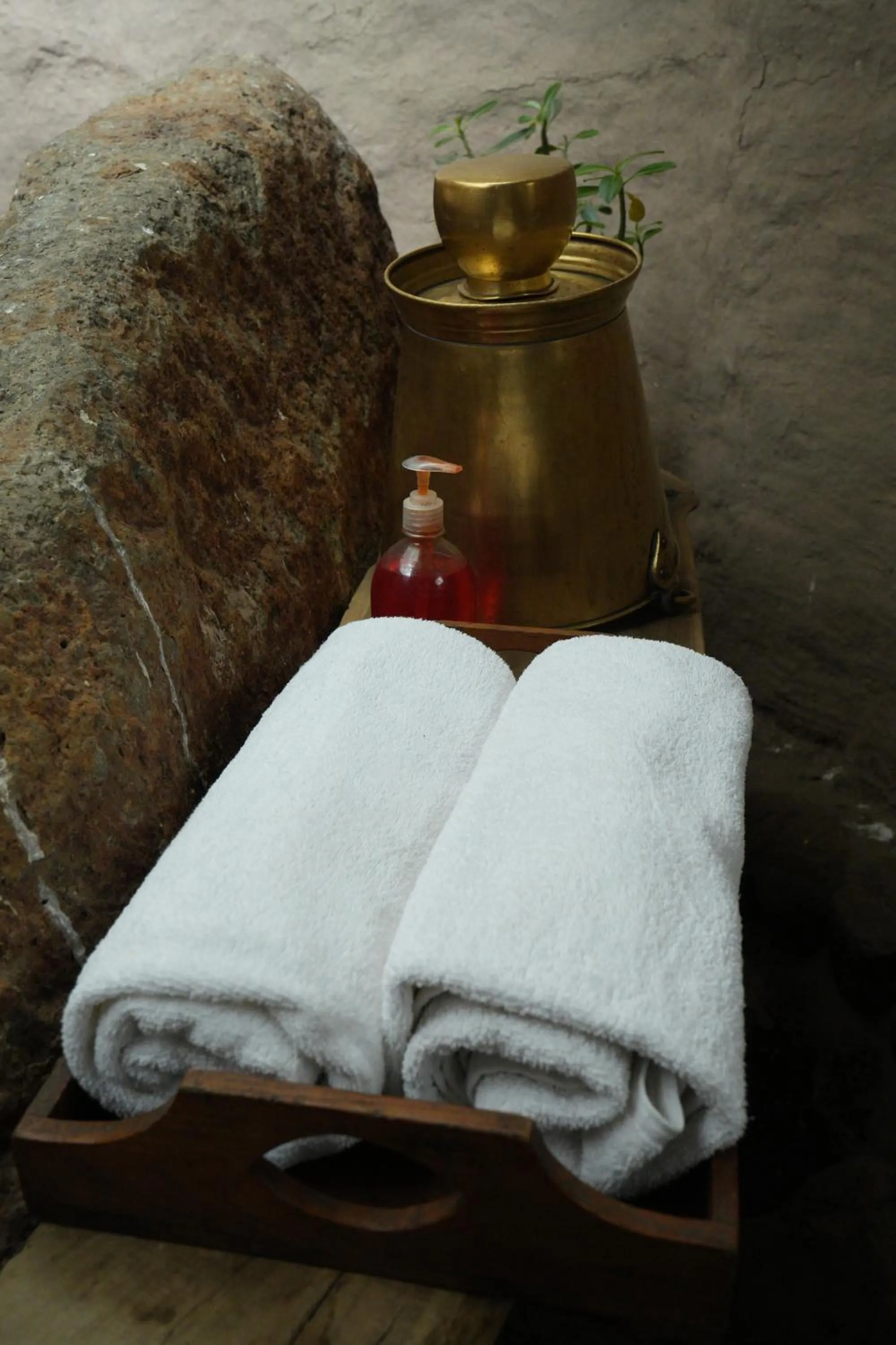 Shower in Nisarg Resort