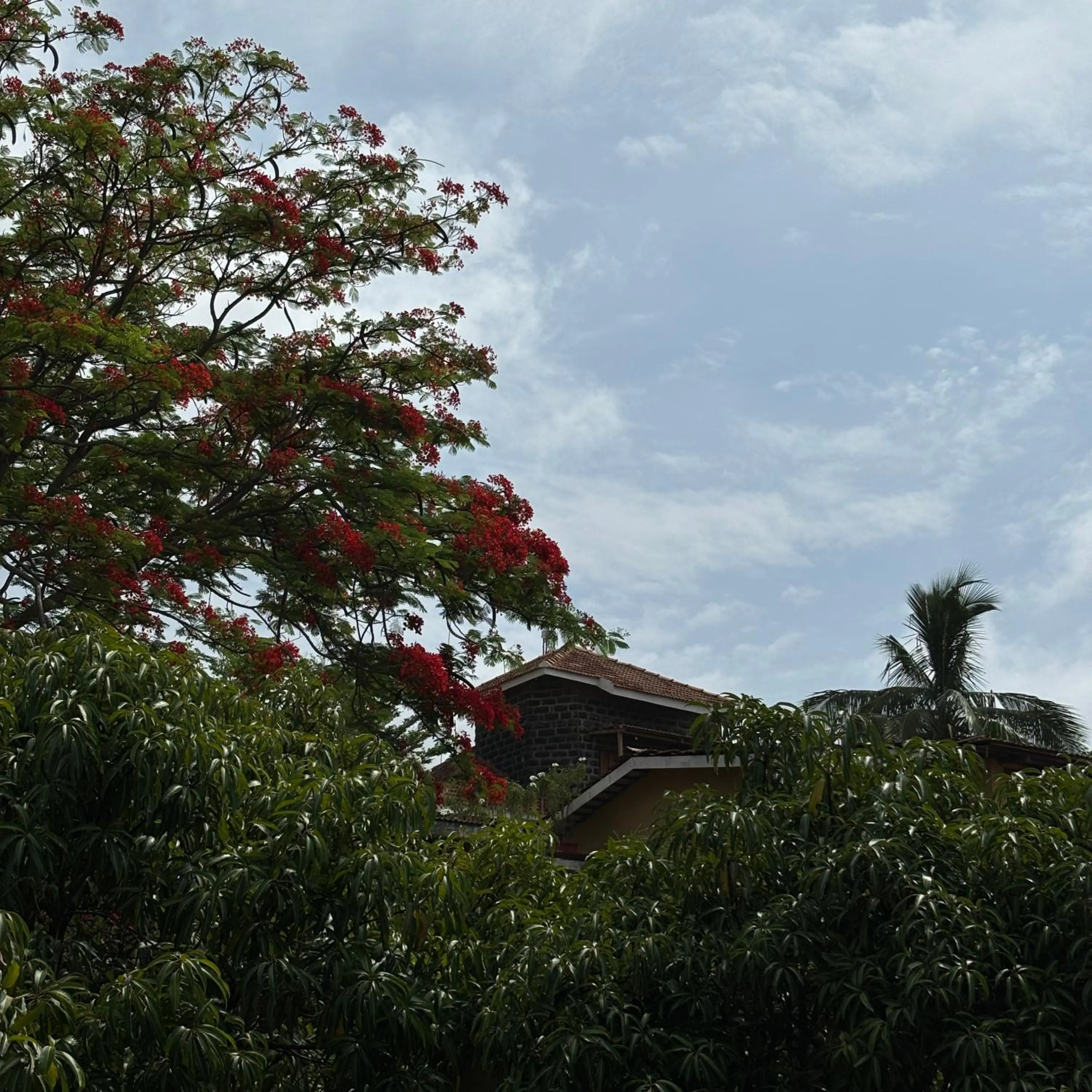 Garden in Nisarg Resort
