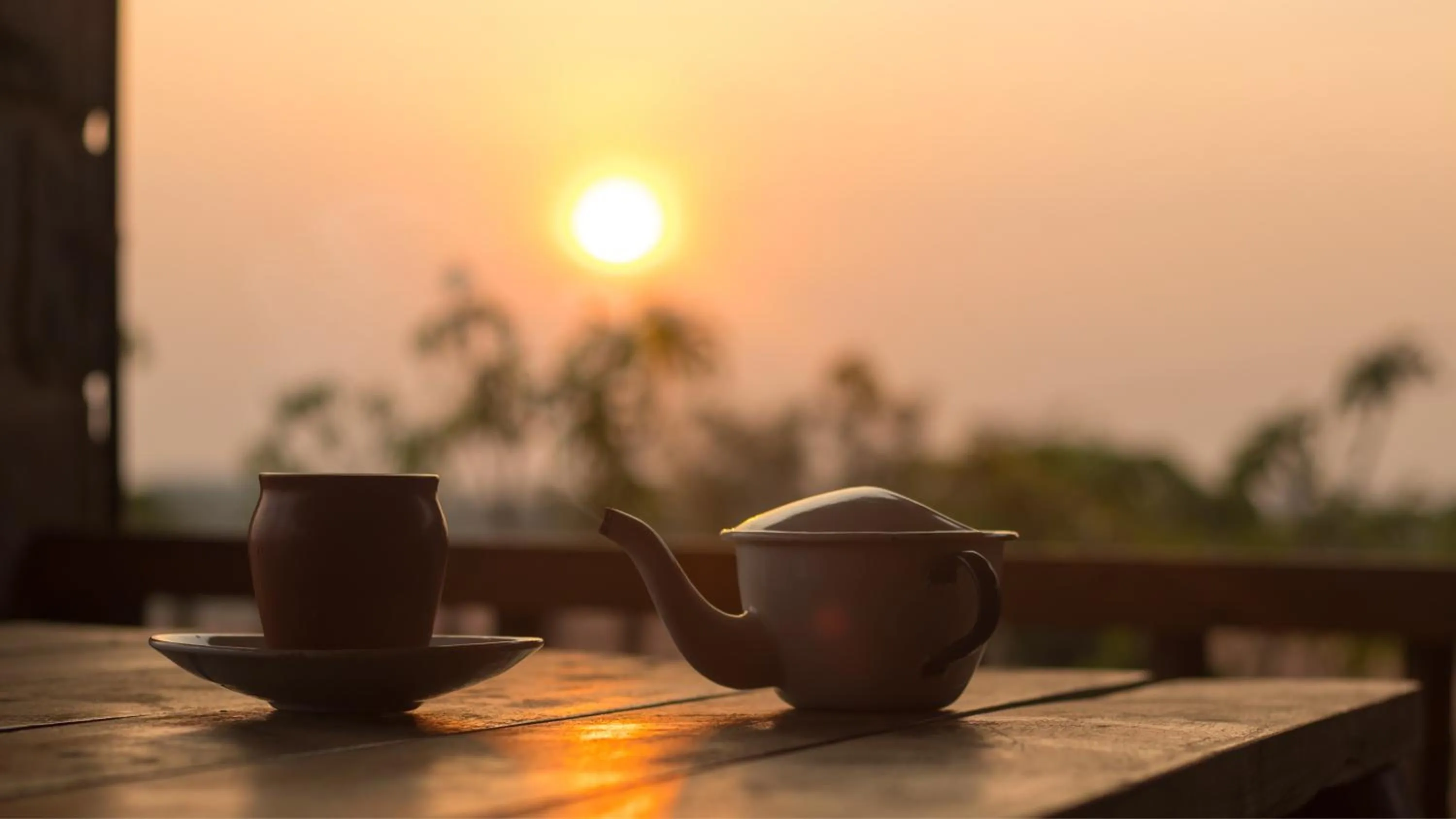 Patio in Nisarg Resort