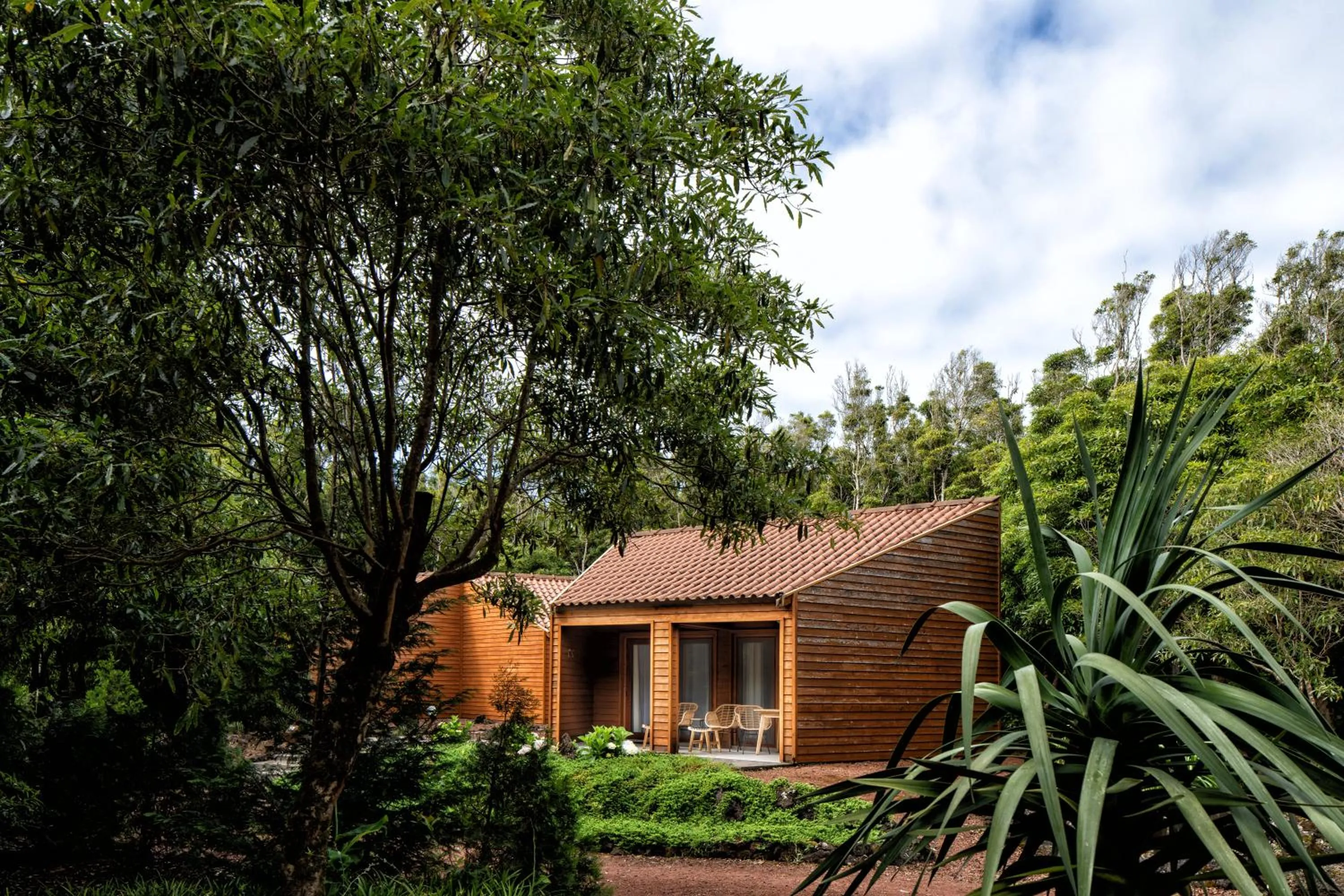 Property building in Alma do Pico - Nature Residence