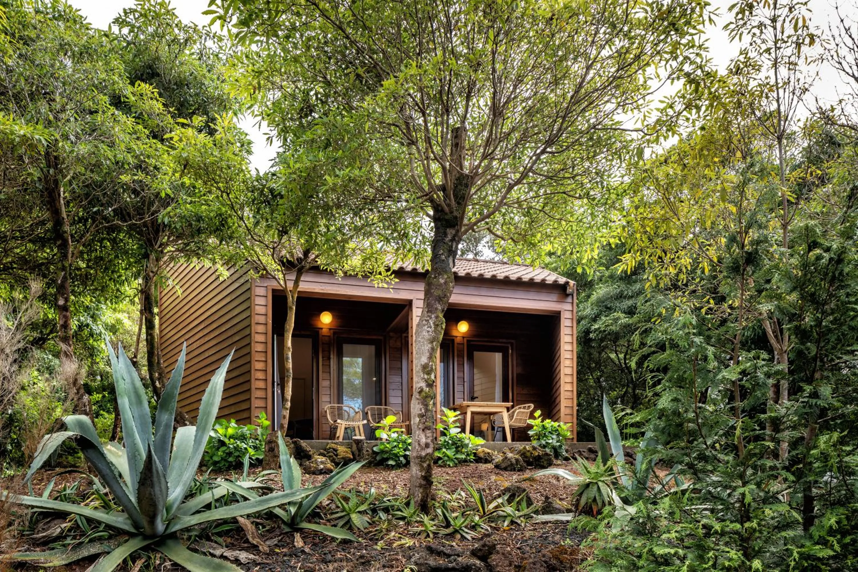 Natural landscape in Alma do Pico - Nature Residence