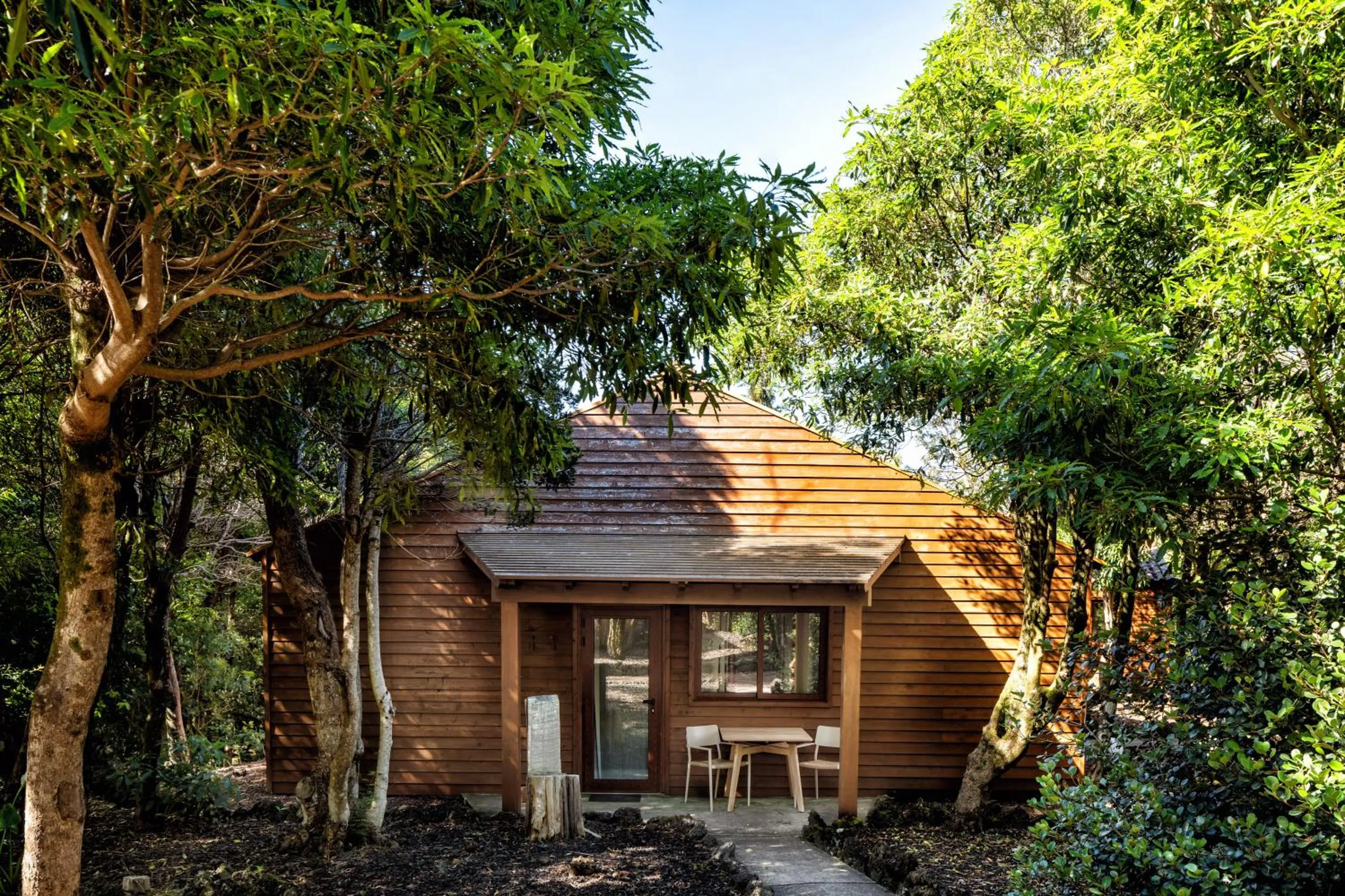 Natural landscape in Alma do Pico - Nature Residence