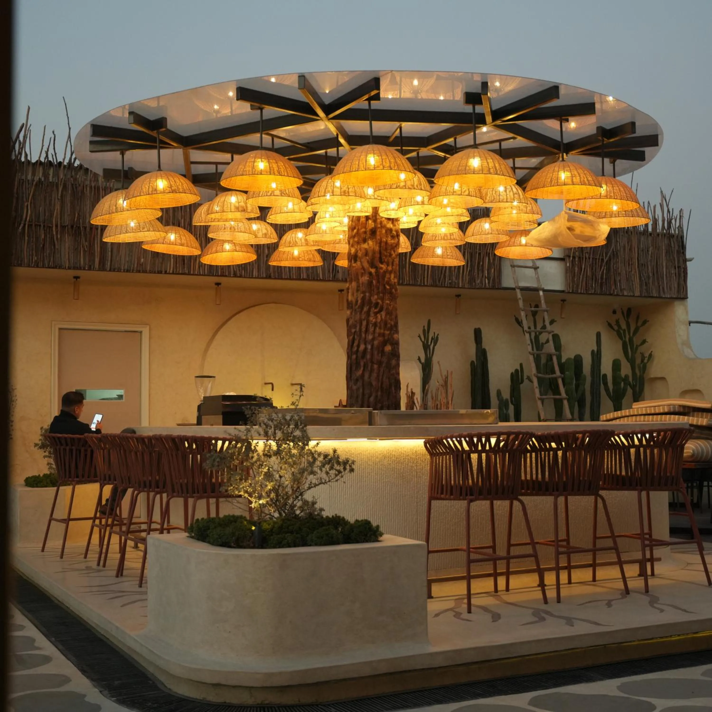 AVA Hotel Chandigarh Zirakpur