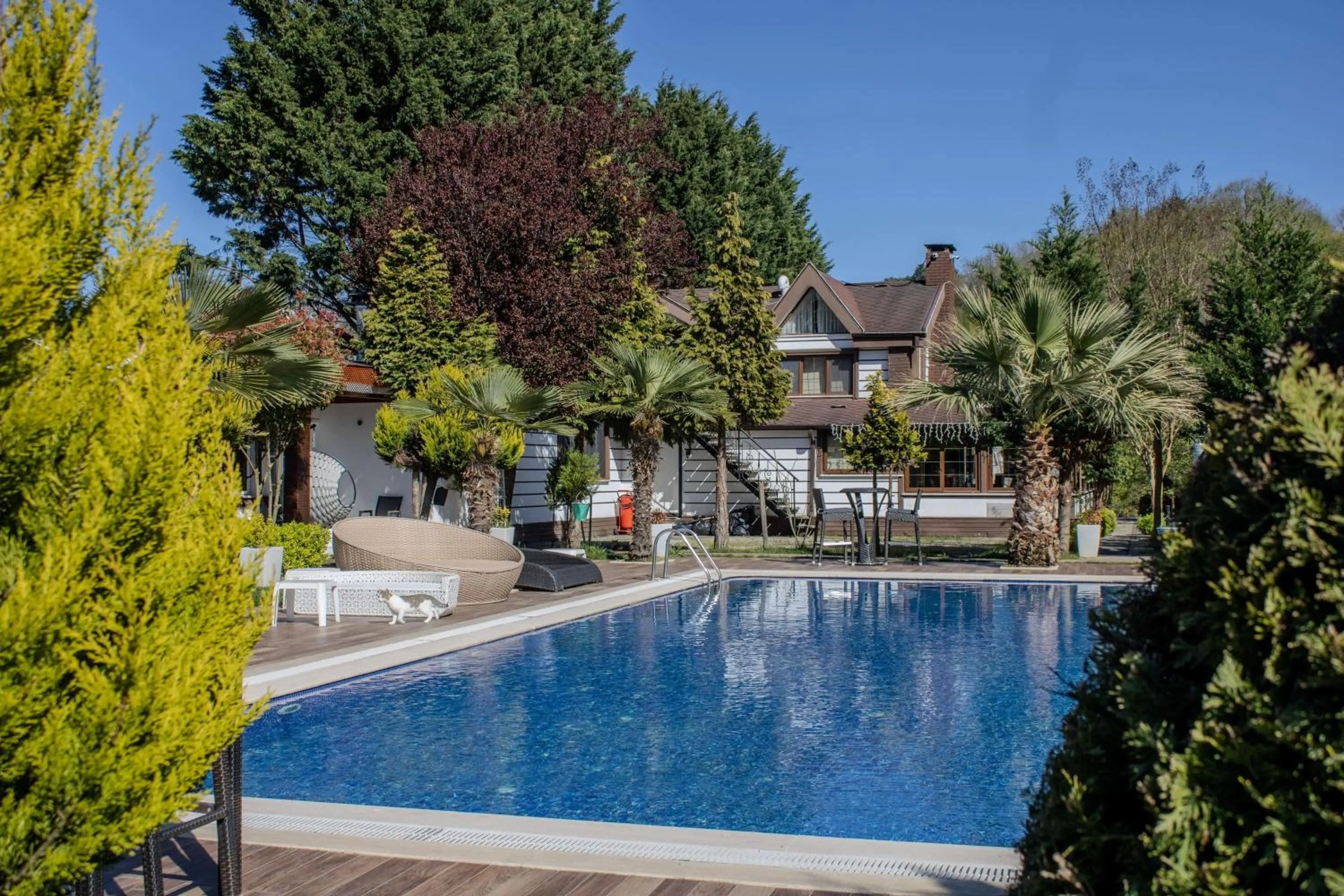 Swimming pool in 216 North Hotel