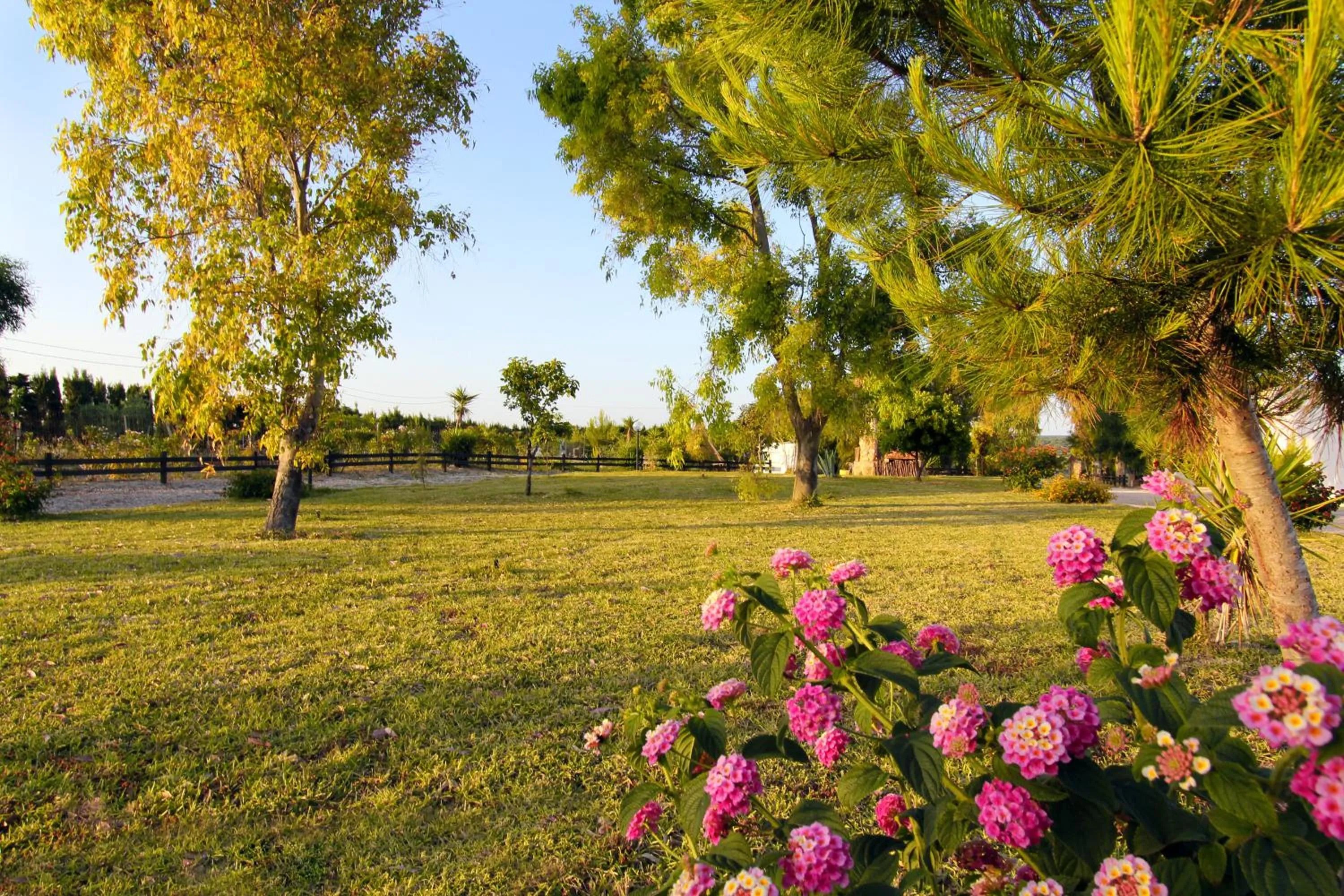 Garden in Tenuta Li Fani Residence Hotel