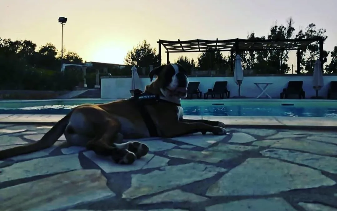 Swimming pool in Tenuta Li Fani Residence Hotel
